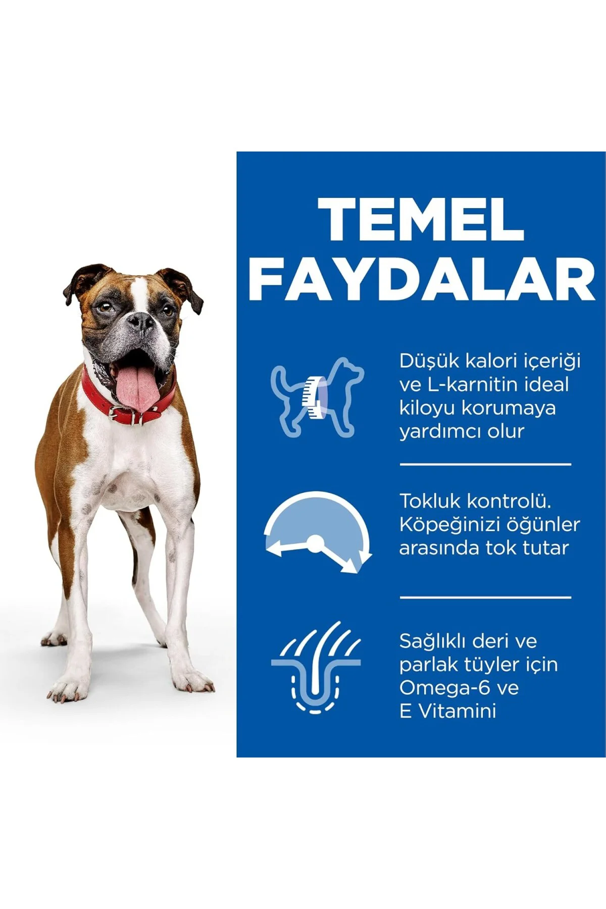 SCIENCE PLAN Light Yetişkin Orta Irk Tavuklu Köpek Maması 14 kg