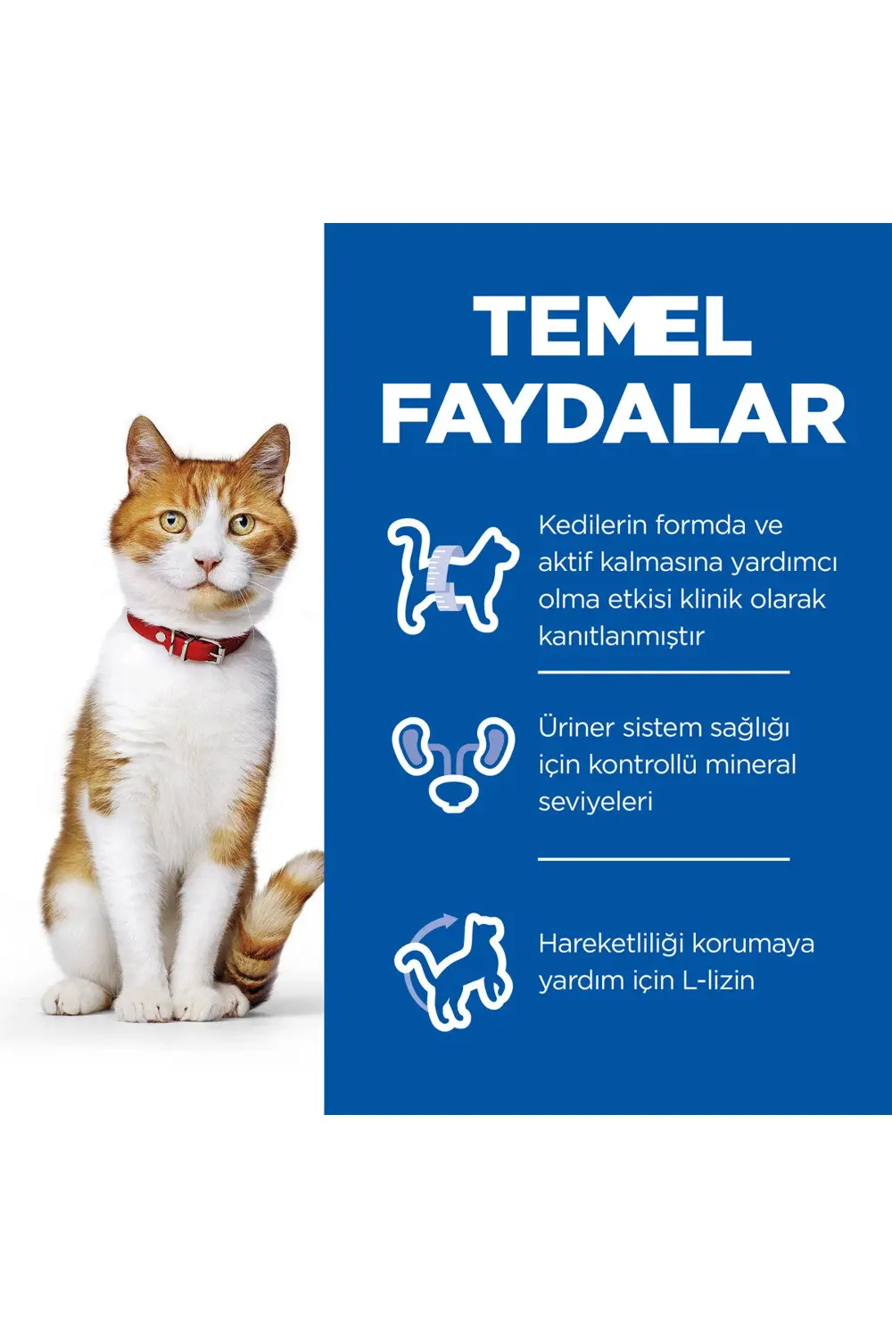 SCIENCE PLAN Ördekli Kısırlaştırılmış Yetişkin Kedi Maması 10 Kg
