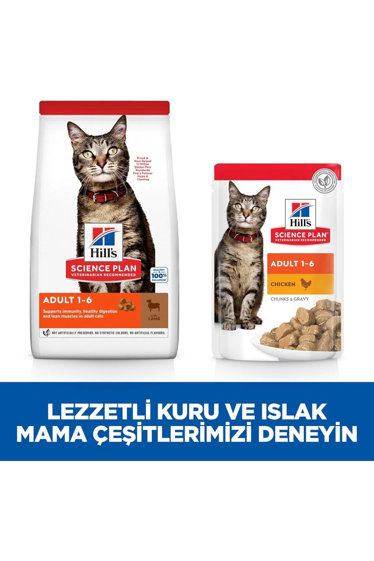 SCIENCE PLAN Yetişkin Kuzulu Kedi Maması 8+2 kg