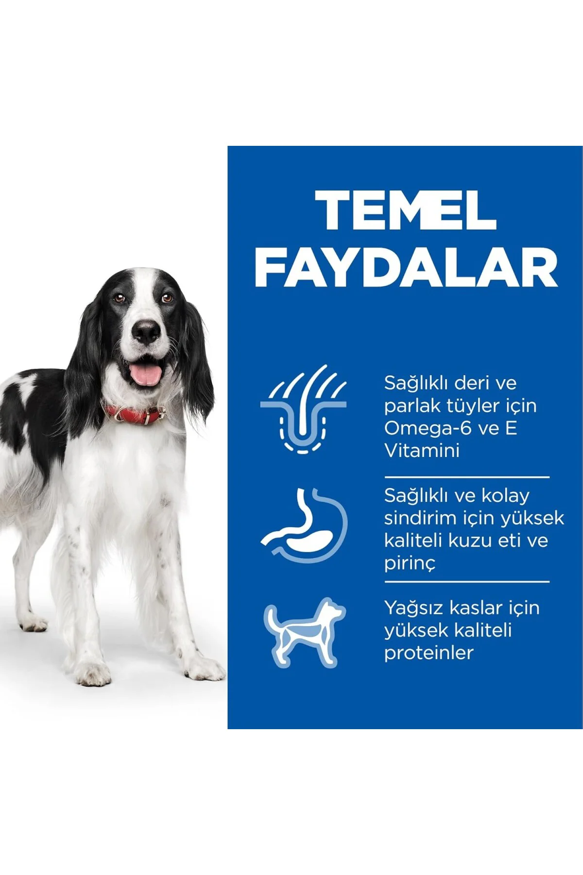 Science Plan Yetişkin Orta Irk Kuzulu ve Pirinçli Köpek Maması 12