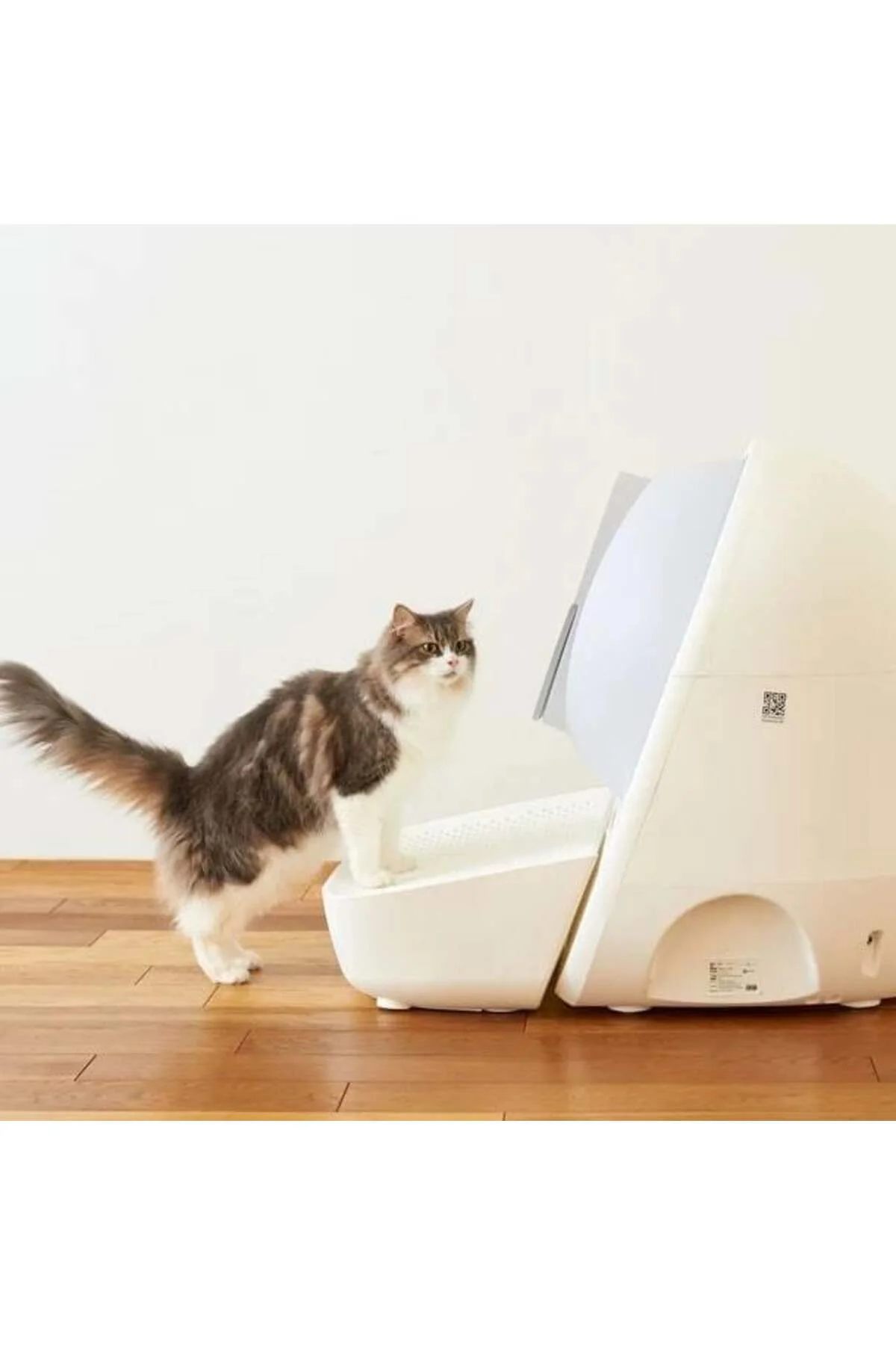Scooper Beyaz Kedi Tuvaleti Basamağı - Litter Takibi, Ergonomik E Scooper Beyaz Kedi Tuvaleti Basamağı - Litter Takibi, Ergonomik E