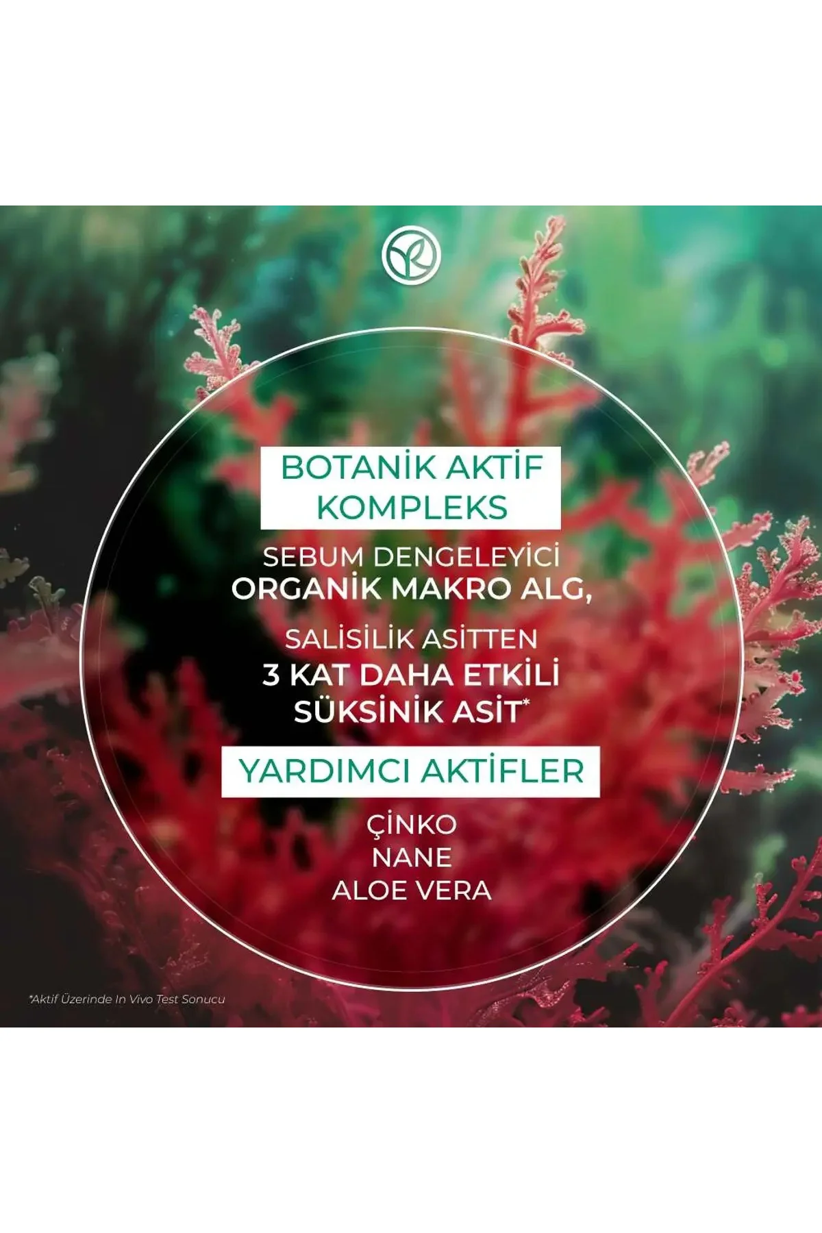 Sebo Pure Vegetal-Salisilik Asit & Sitrik Asit İçerikli Gözenek S