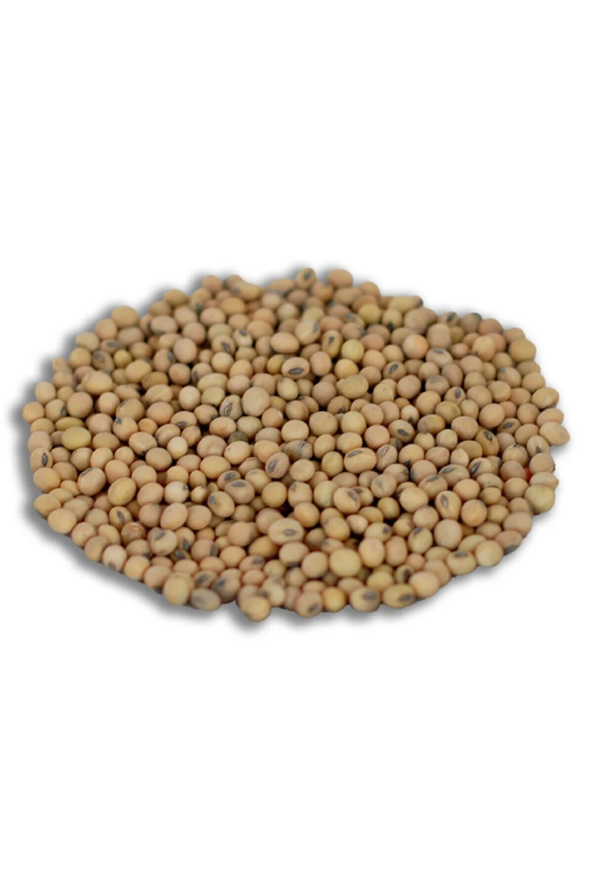 Sebze Tohumları Yerli Soya Fasulyesi Tohumu 100 gr Sebze Tohumları Yerli Soya Fasulyesi Tohumu 100 gr