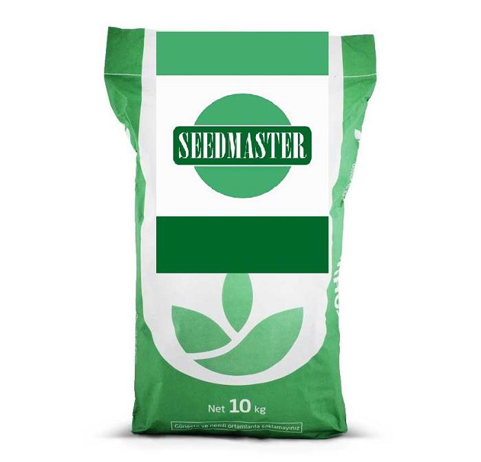 Seedmaster Çim Tohumu Gölge Mix 4 Karışım - 1 kg