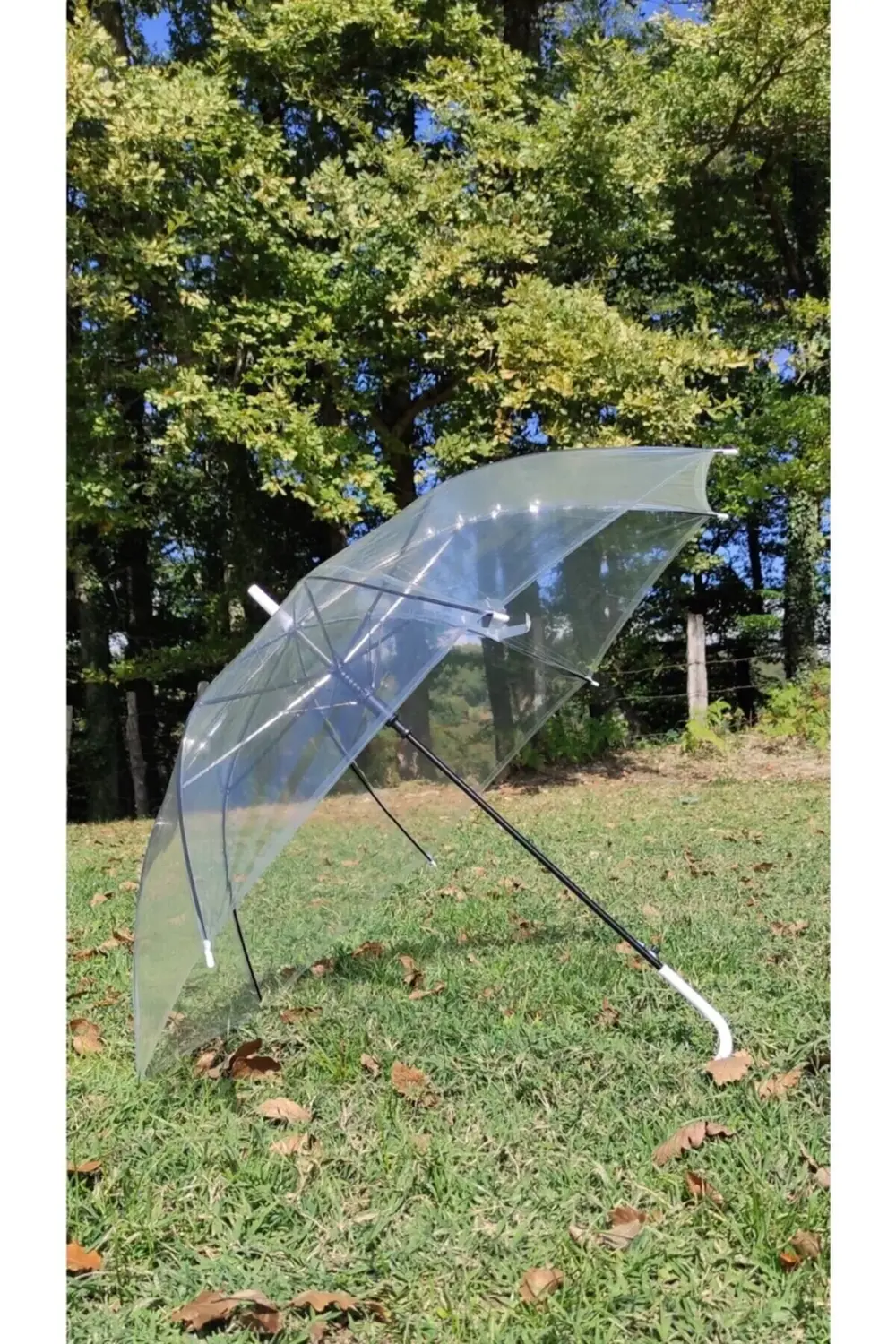 Şeffaf Baston Şemsiye