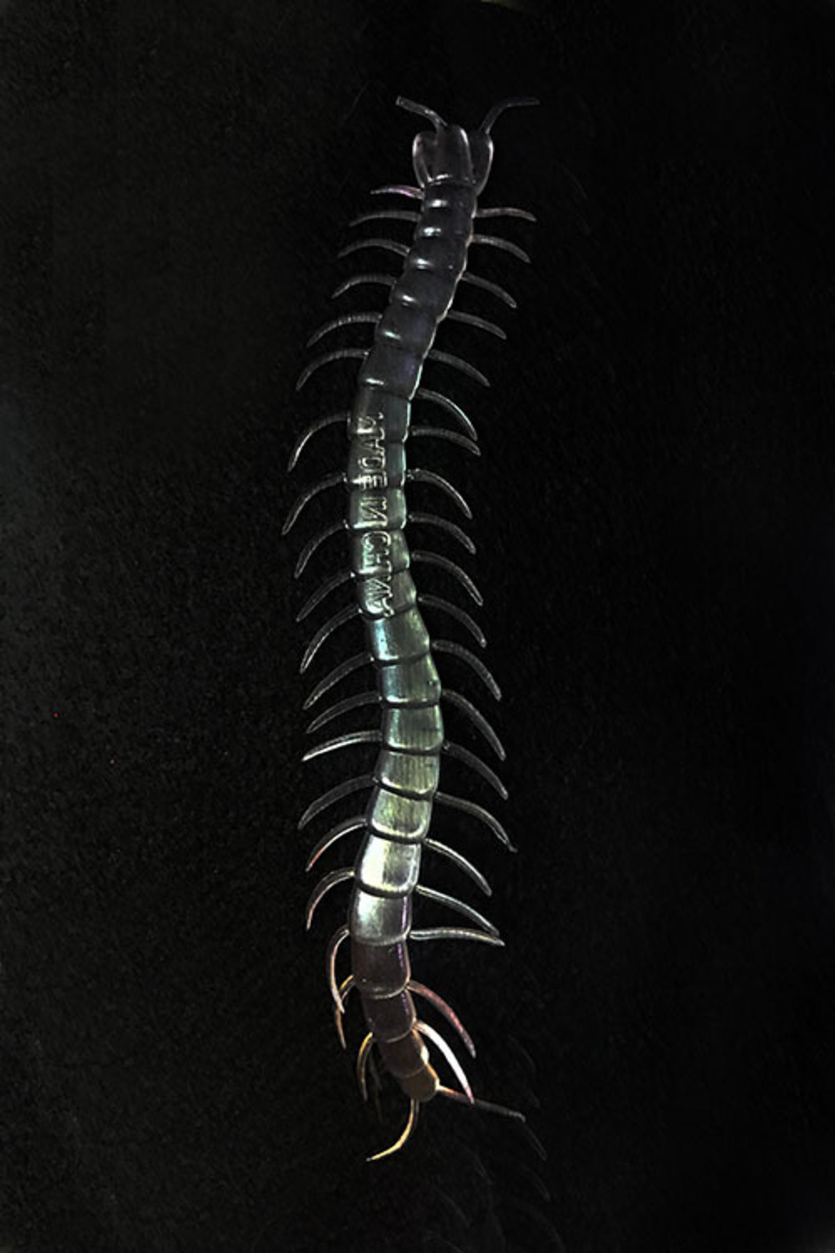 Ok Aksesuar Şeffaf Renk Karanlıkta Parlayan Fosforlu Kırkayak 13 Cm 1 Adet Go