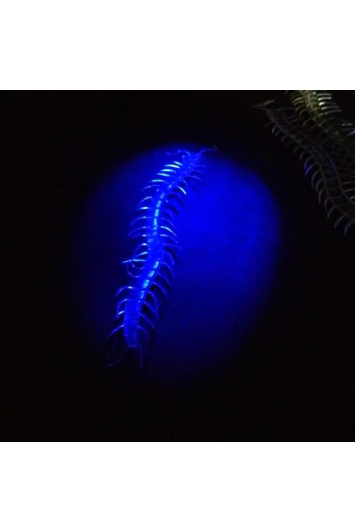 Ok Aksesuar Şeffaf Renk Karanlıkta Parlayan Fosforlu Kırkayak 13 Cm 1 Adet Go