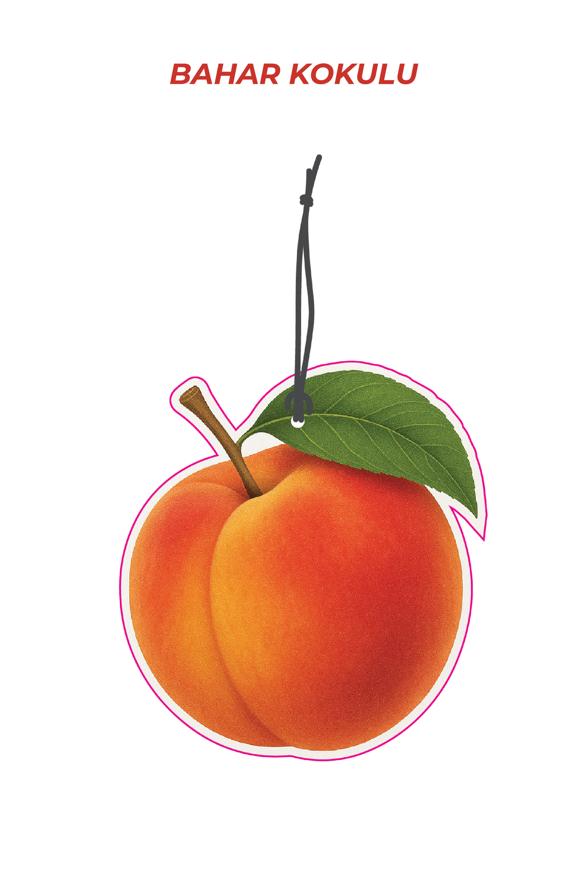 Şeftali Tasarımlı Araç İçi Kokusu & Dekoratif Oto Kokusu Aksesuar