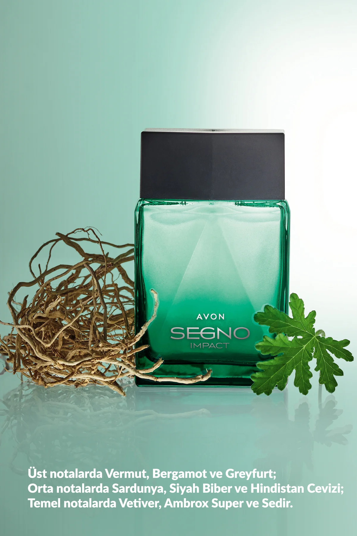 Segno Impact Erkek Parfüm Edp 75 Ml. Segno Impact Erkek Parfüm Edp 75 Ml.