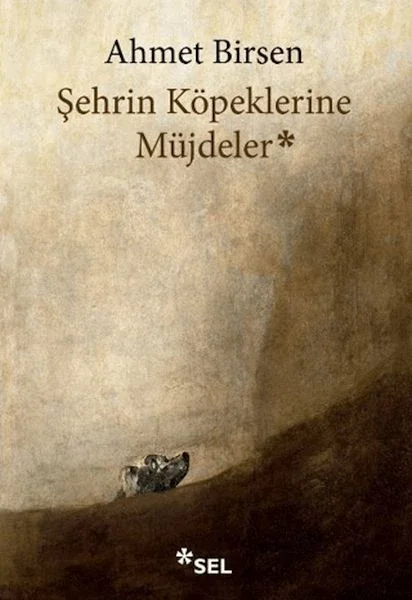 Şehrin Köpeklerine Müjdeler Fiyatı, Yorumları ve Özellikleri