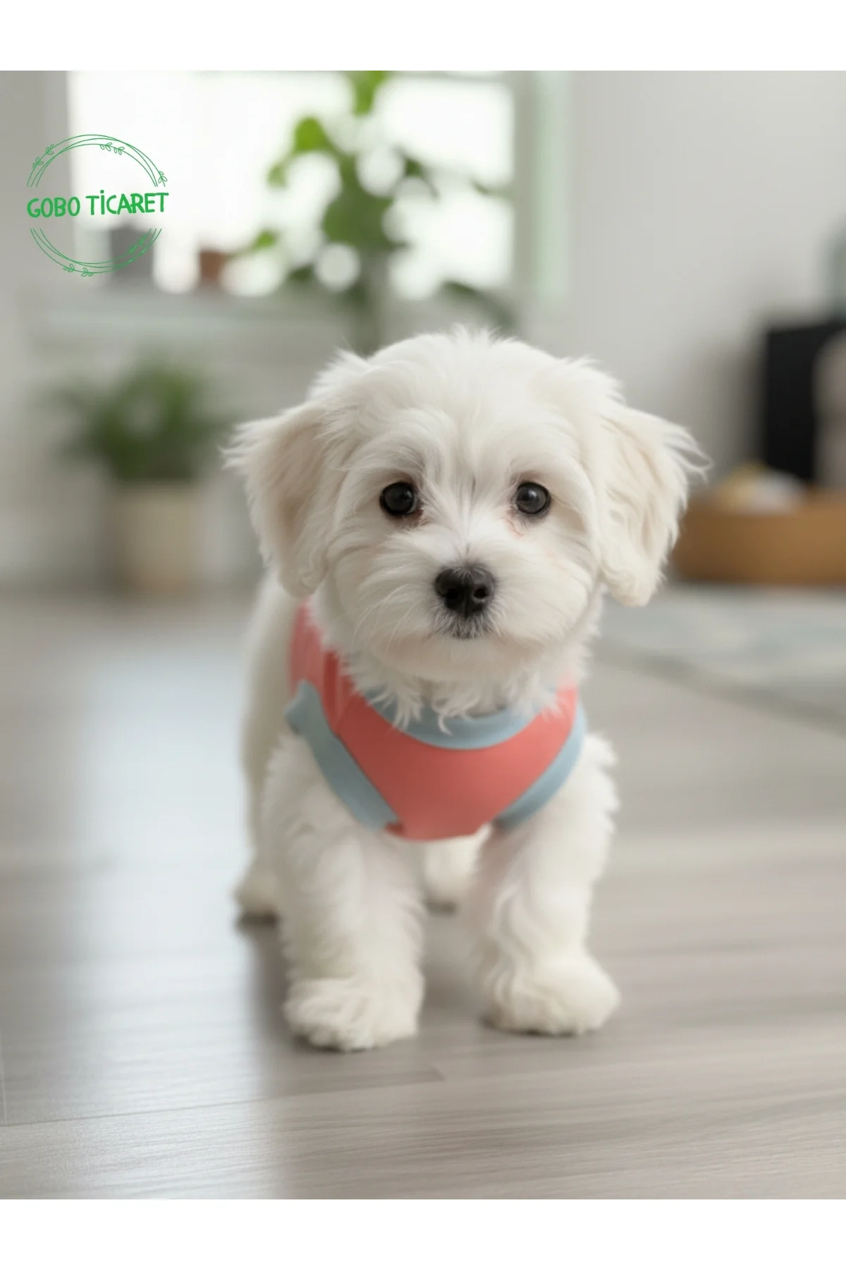 Şeker Pembe Renkli Kedi ve Köpek Kıyafeti Elbisesi Love Baskılı S