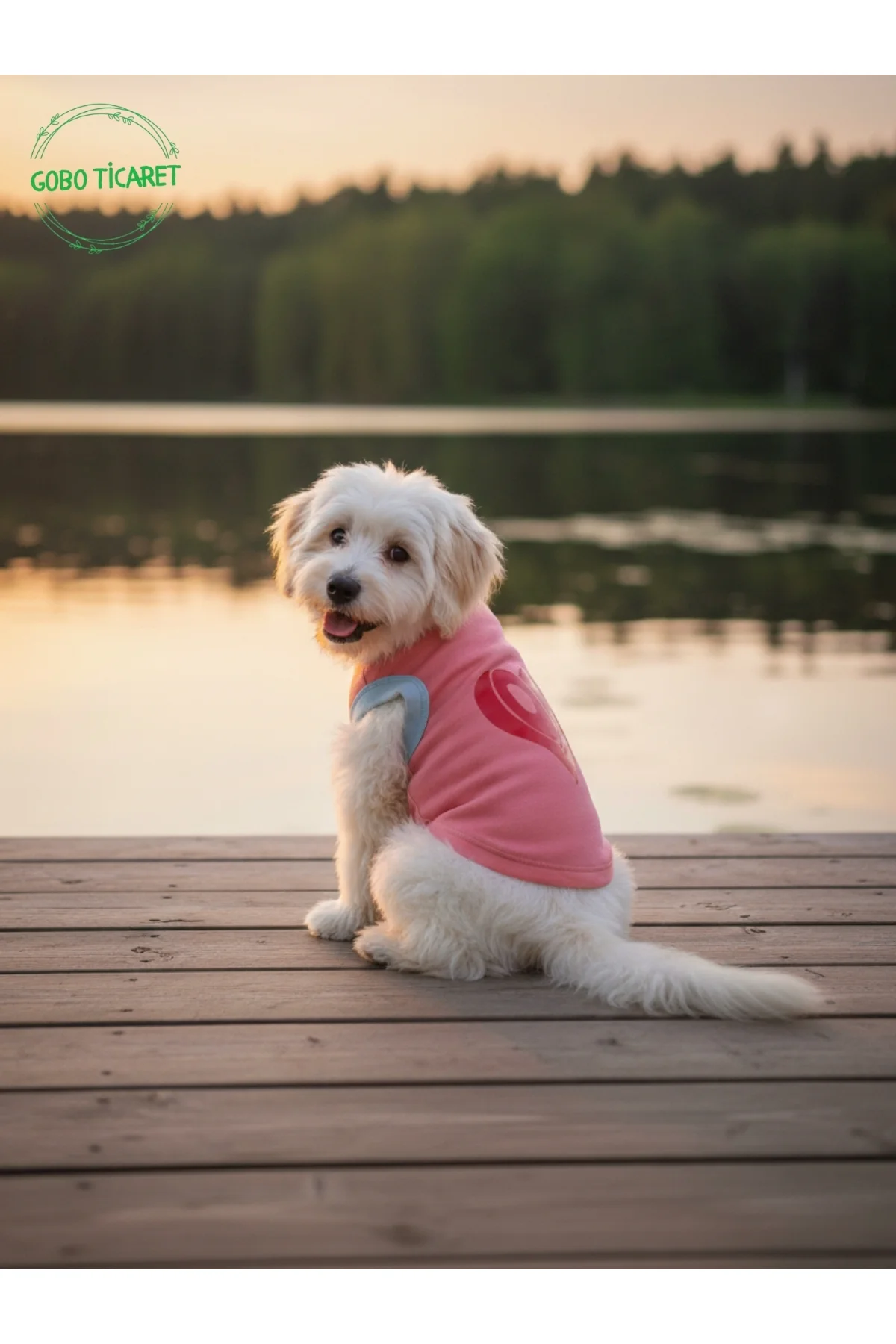 Şeker Pembe Renkli Kedi ve Köpek Kıyafeti Elbisesi Love Baskılı X
