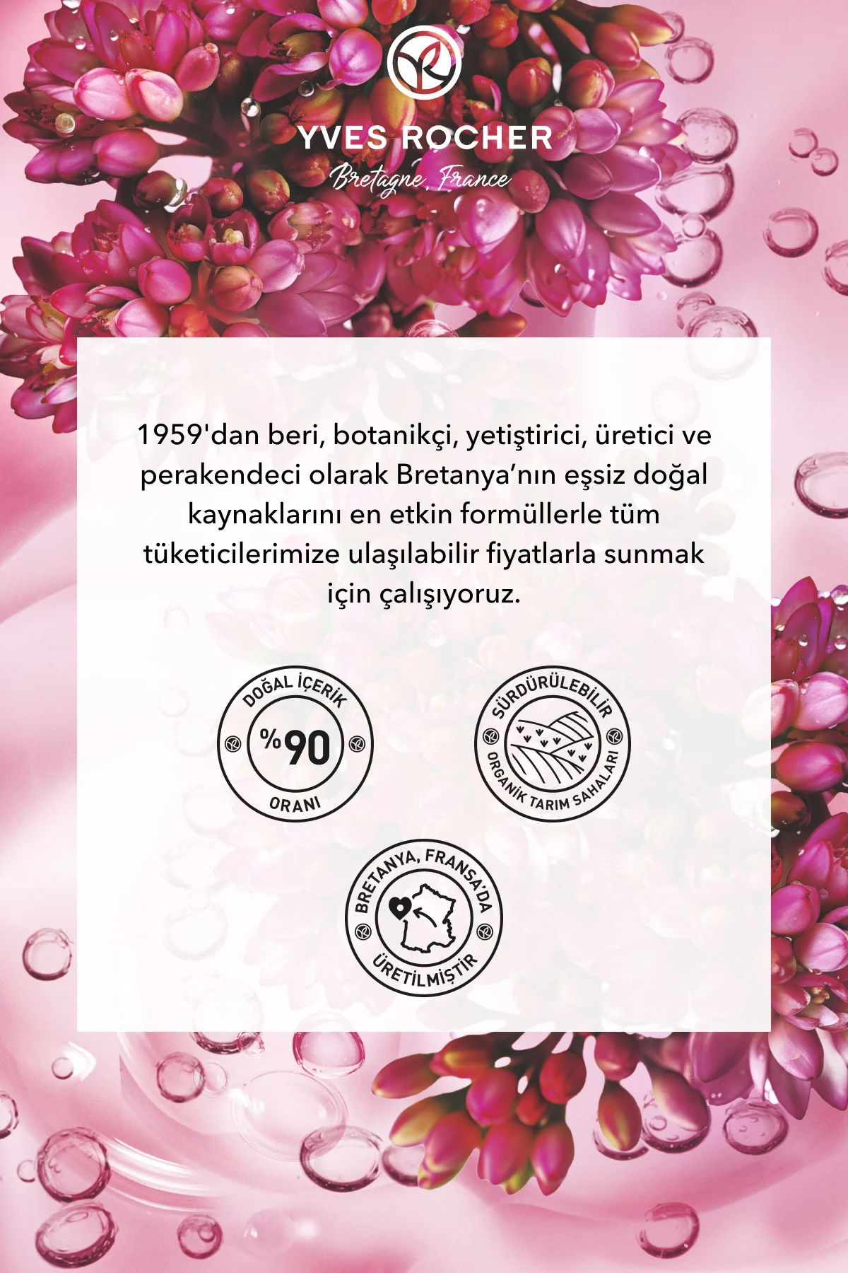 Selülit Karşıtı Sıkılaştırıcı Krem -17551