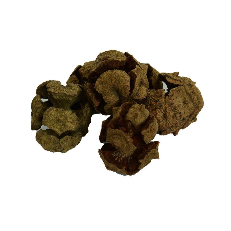 Selvi Kozalağı Doğal 100 Gr Paket - Saf ve Katkısız Doğa Ürünü