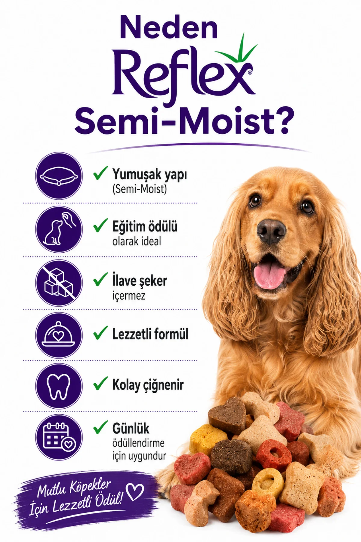 Semi-Moist Köpek Ödül Maması 3'lü Set 150 gr x 3 (450 gr) Yumuşak Yapılı İlave Şekersiz Sport Mix + Lamb & Rice Large + Mini Hearts Mix Semi-Moist Köpek Ödül Maması 3'lü Set 150 gr x 3 (450 gr) Yumuşak Yapılı İlave Şekersiz Sport Mix + Lamb & Rice Large + Mini Hearts Mix