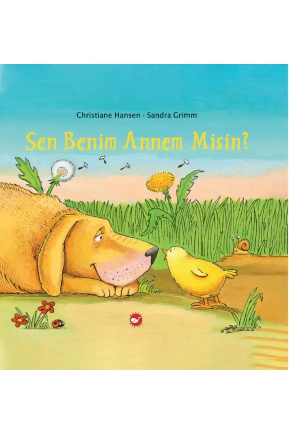 Sen Benim Annem Misin