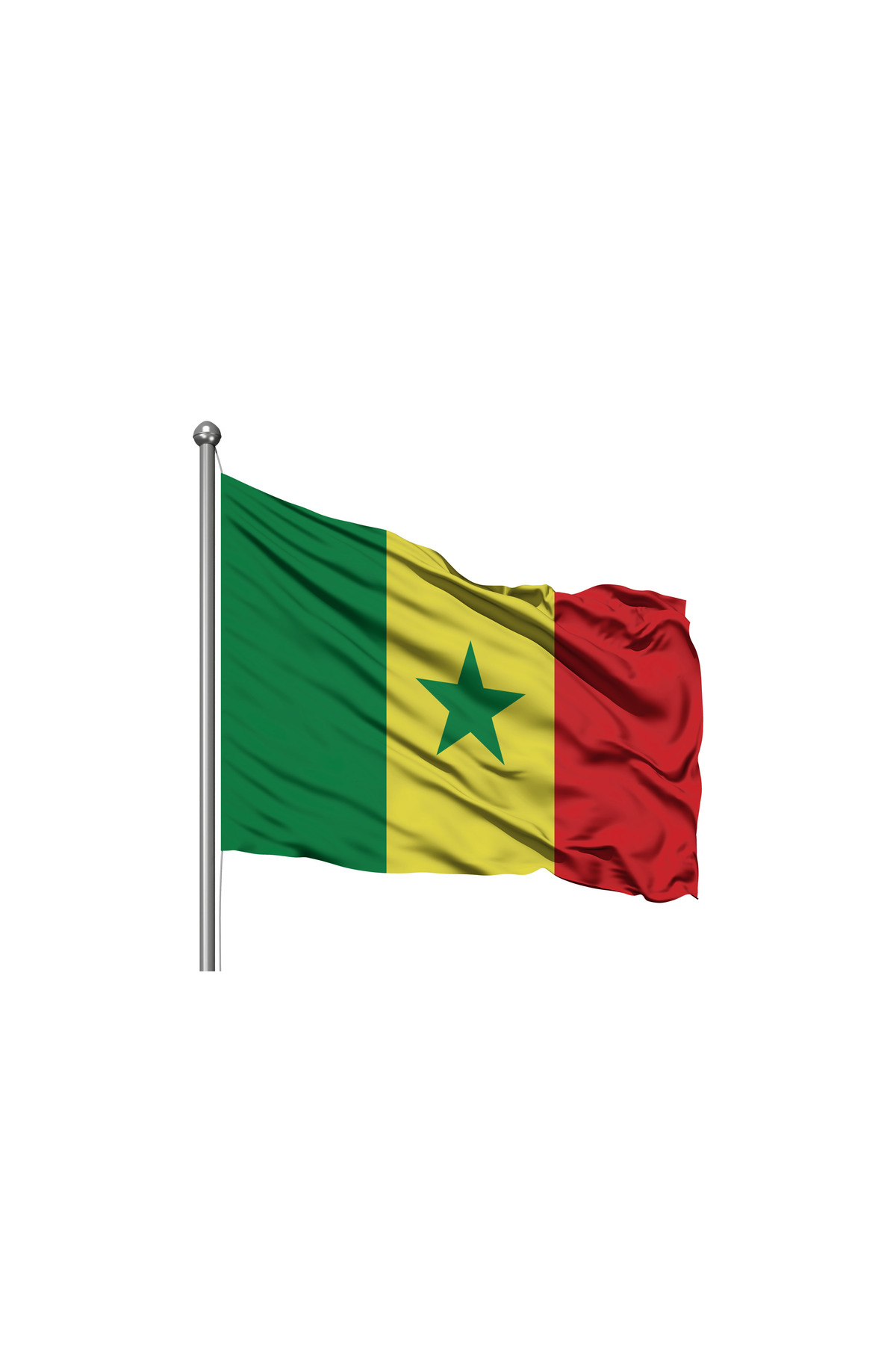 Senegal Devleti Bayrağı - Premium Raşel Kumaş 800x1200cm