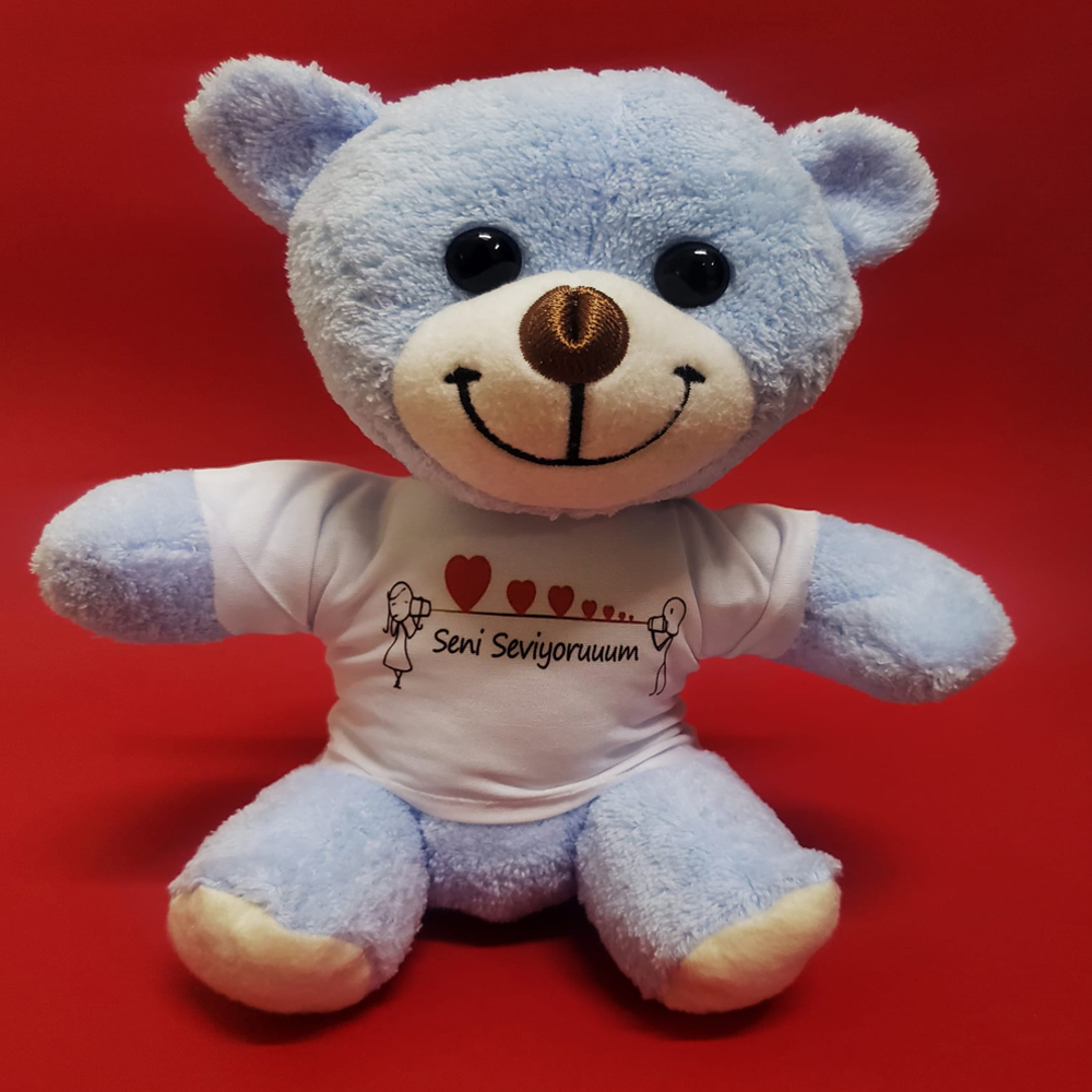 Evimdeyokyok Seni Seviyorum Ayı Tdrtr