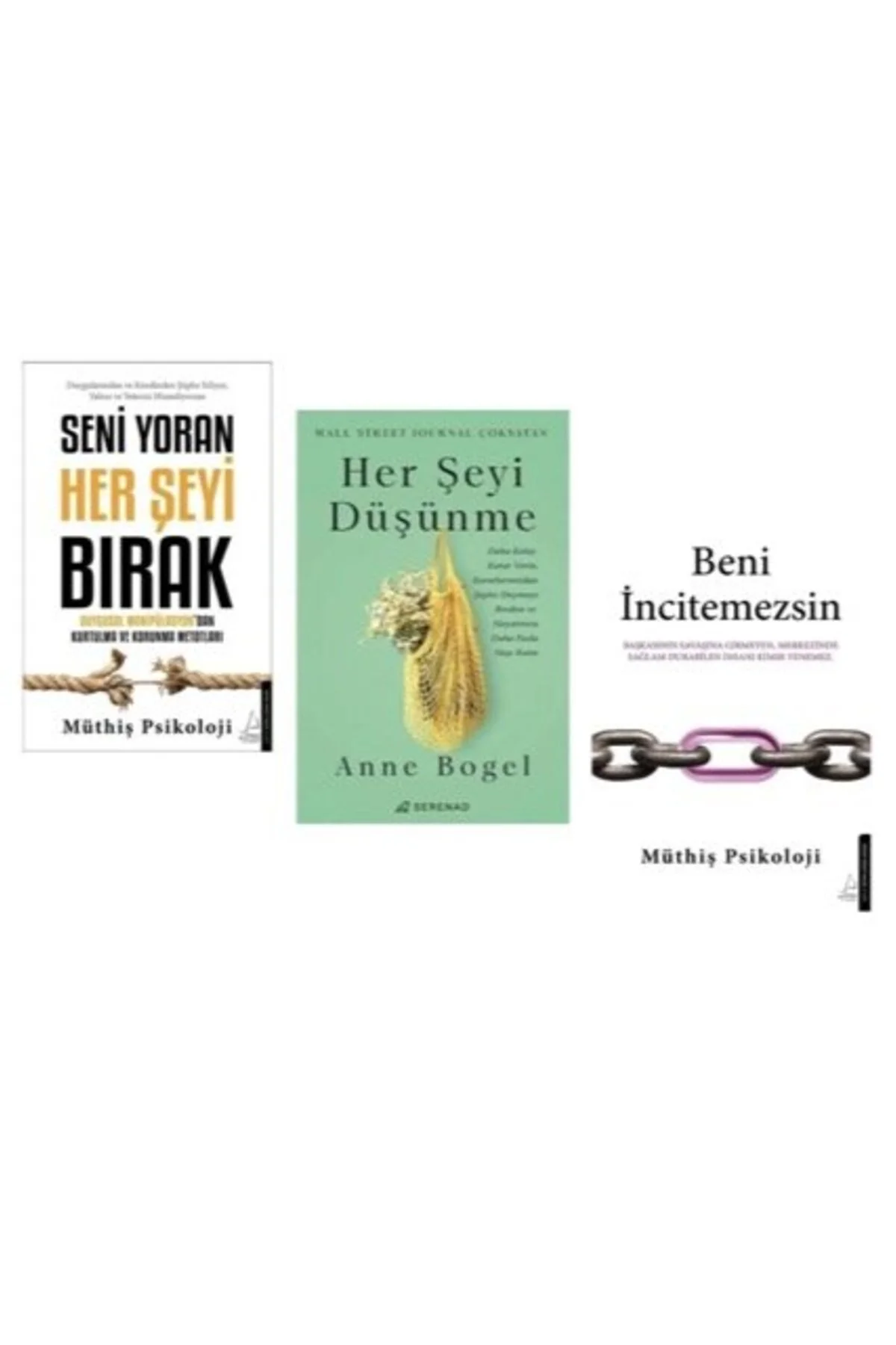 seni yoran herseyi birak + herseyi dusunme+ beni incitemessin=(3kitap)