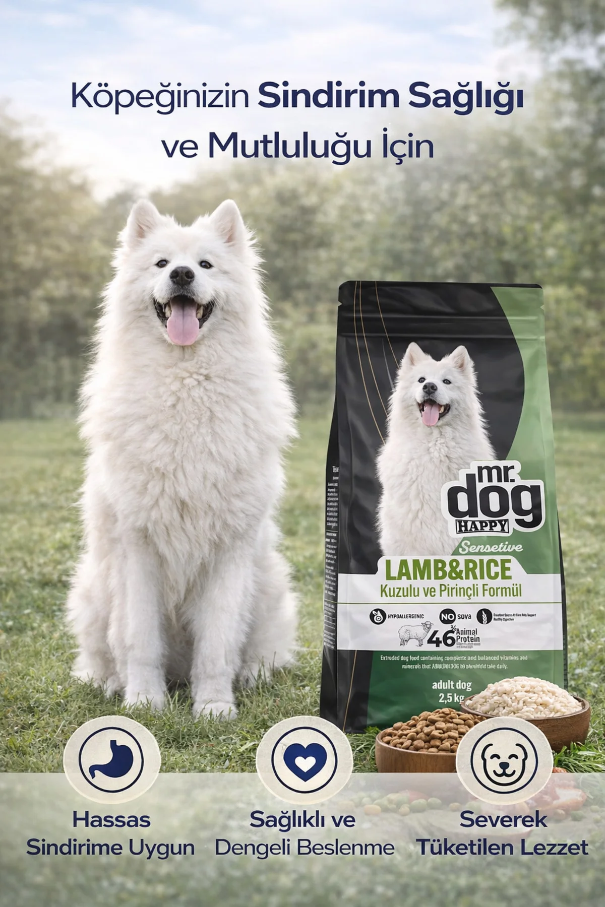 Sensitive Kuzu Etli Pirinçli Yetişkin Köpek Maması 2,5 Kg Hassas 