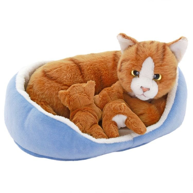 Sepette Yavrulu Kedi Sepette Yavrulu Kedi