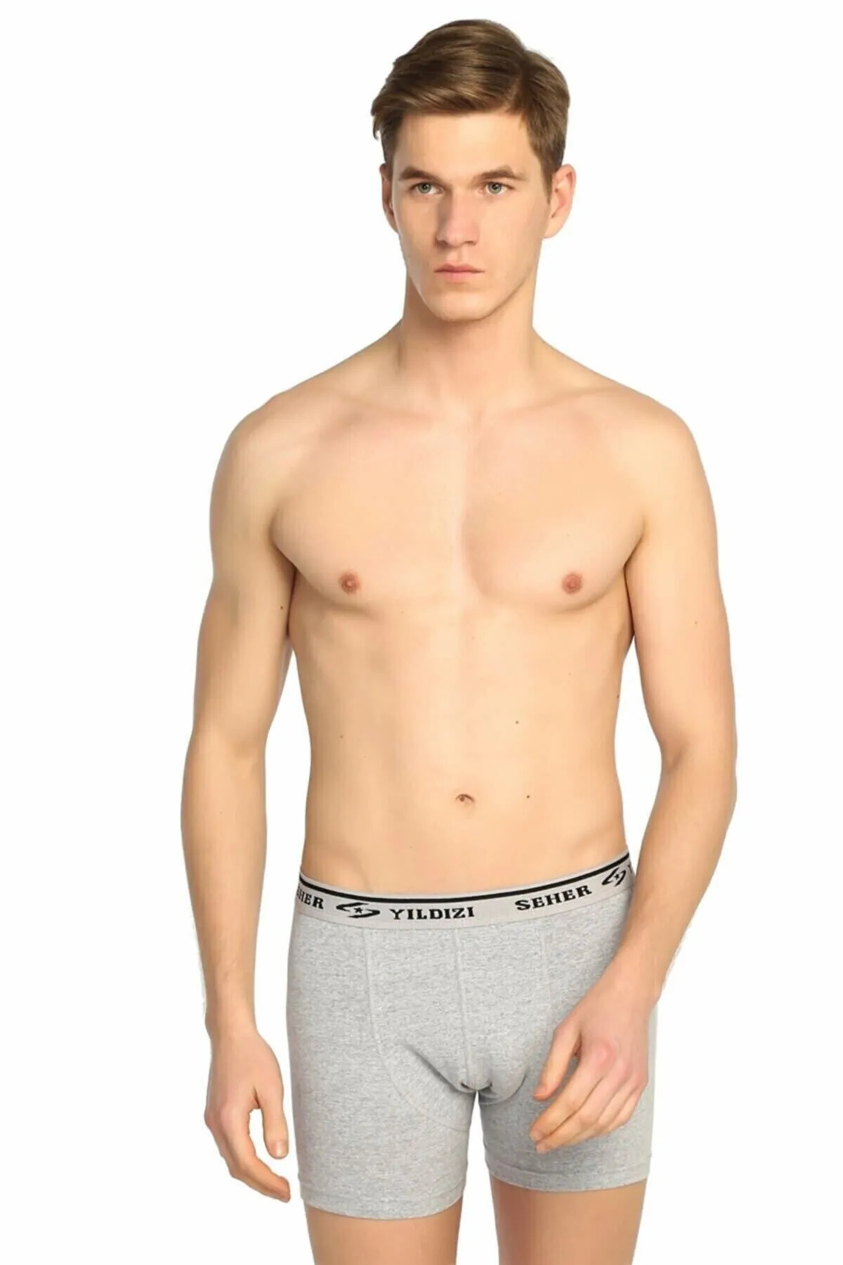 Ser0060  Elastan Boxer 6 Adet Gri