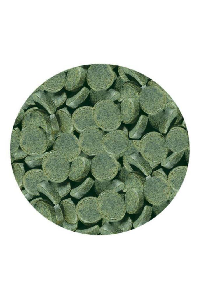 Sera Spirulina Tabs 24 Tablet