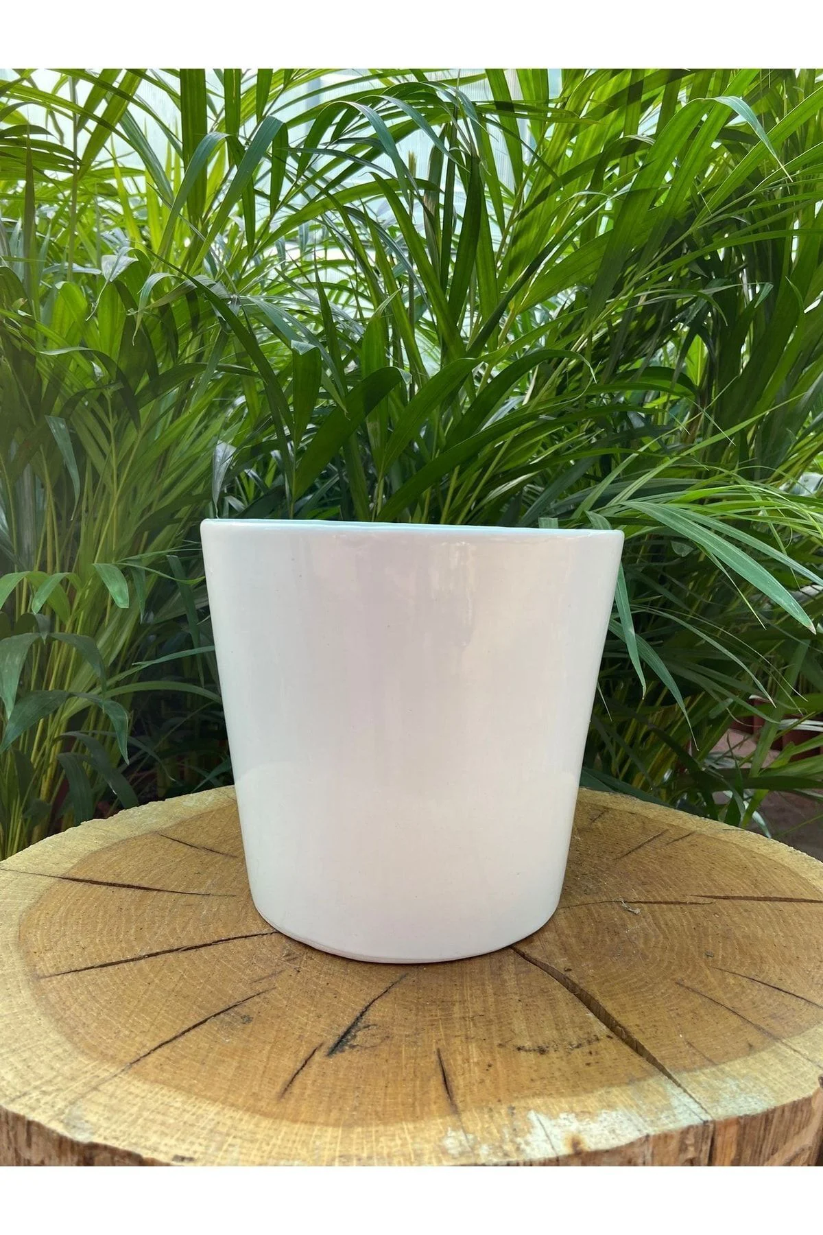 Seramik Saksı - Orkide Saksısı 12cm- Çiçek Saksısı Seramik Saksı - Orkide Saksısı 12cm- Çiçek Saksısı
