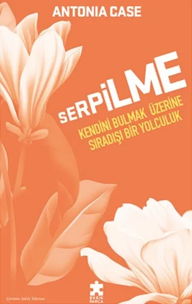 Serpilme: Kendini Bulmak Üzerine Sıradışı Bir Yolculuk Fiyatı, Yorumları ve Özellikleri