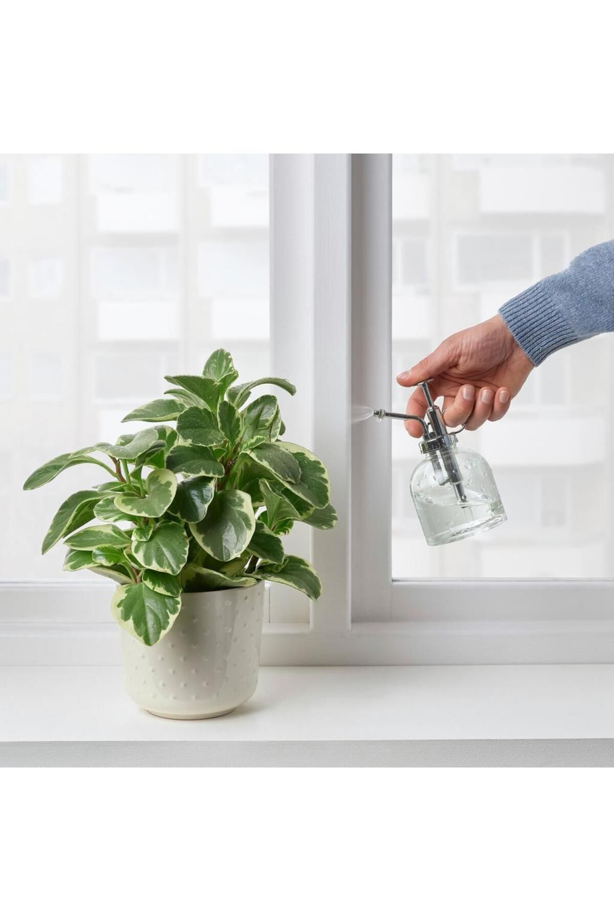 İkea Sesamfrön 25 Cl 16 Cm Sulama Sprey Şişesi Saksi Çiçek Bitki Bahçe