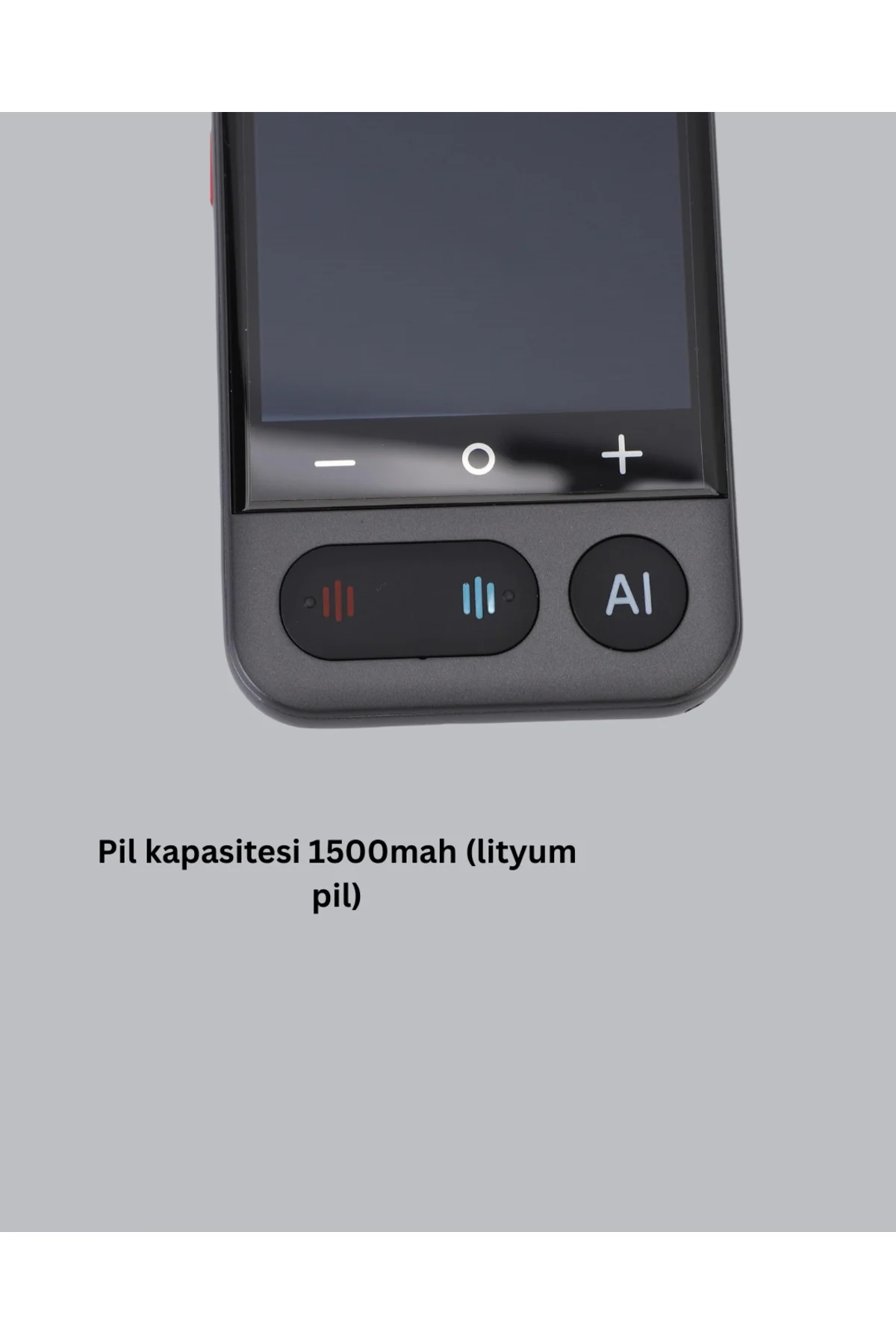 Sesli Çeviri Cihazı - Lisinya