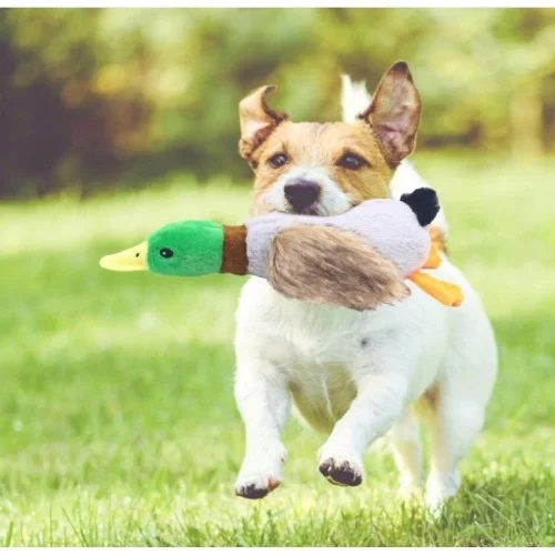 Sesli Ördek Şekilli Peluş Köpek Oyuncağı Fiyatı, Yorumları ve Özellikleri
