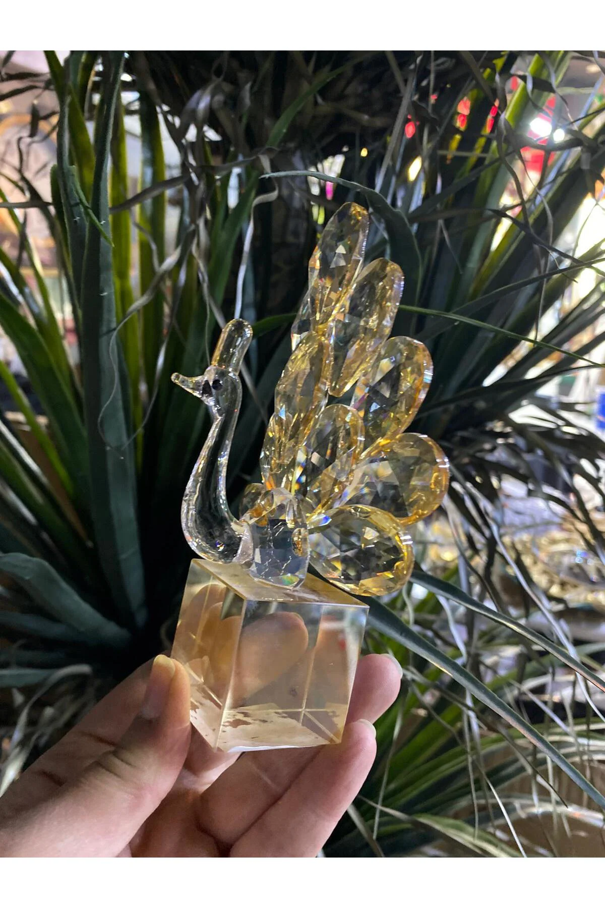 Seta Kristal Kaideli Tavus Kuşu Amber 7*9,5*15cm