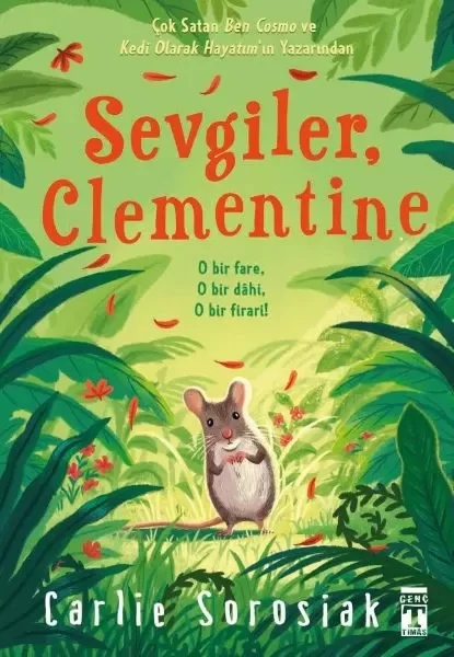 Sevgiler Clementine Fiyatı, Yorumları ve Özellikleri