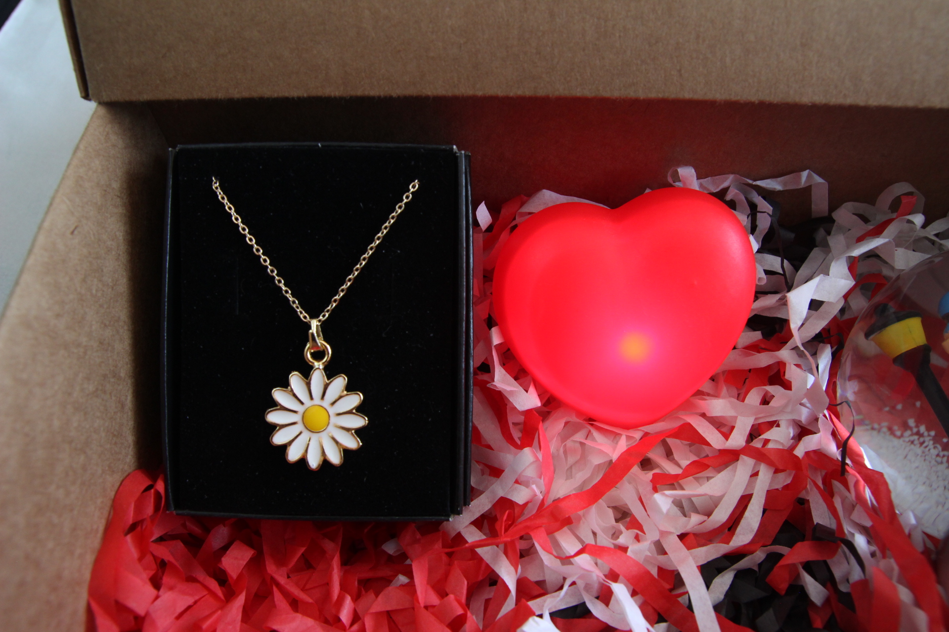 Home Sevgili Aşıklar Temalı Kar Küresi Papatya Kolye Ve İşıklı Kalp Hediye Seti