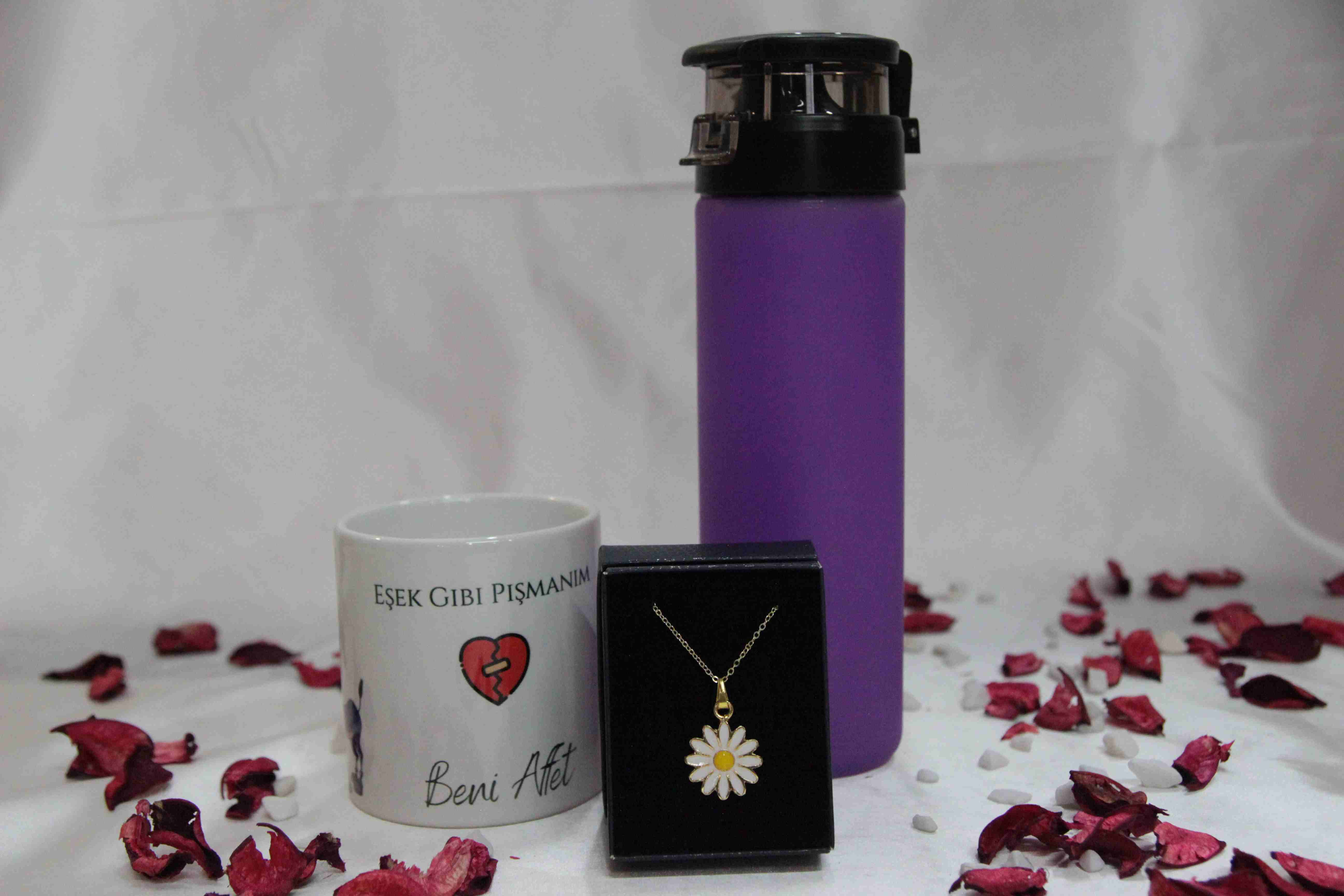 Home Sevgiliye Affet Hediye Seti Mor Termos, Papatya Kolye Affet Yazılı Kupa Ayıcık Ve İşıklı Kalp