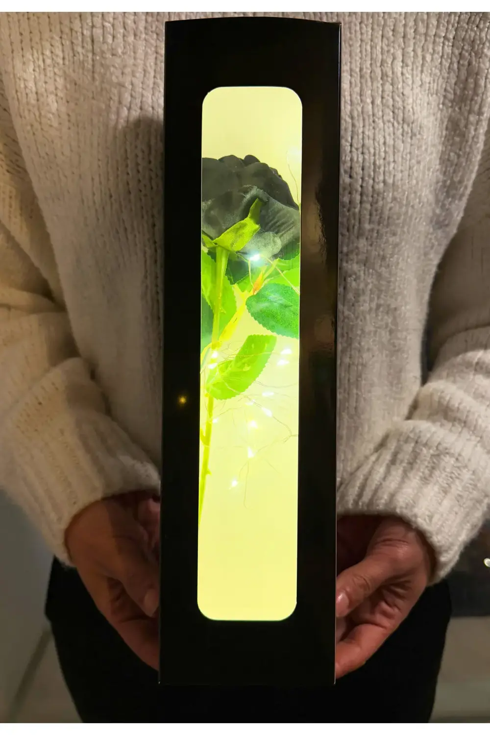 Sevgiliye Hediye Ledli Kutuda Siyah Kadife Gül Romantik Hediye Iş