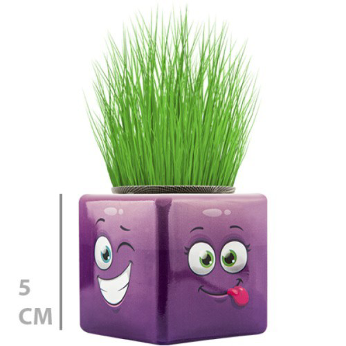 Sevimli Çim Adam Küp Model, Evde Çim Yetiştirme Seti, Eğitici Çoc