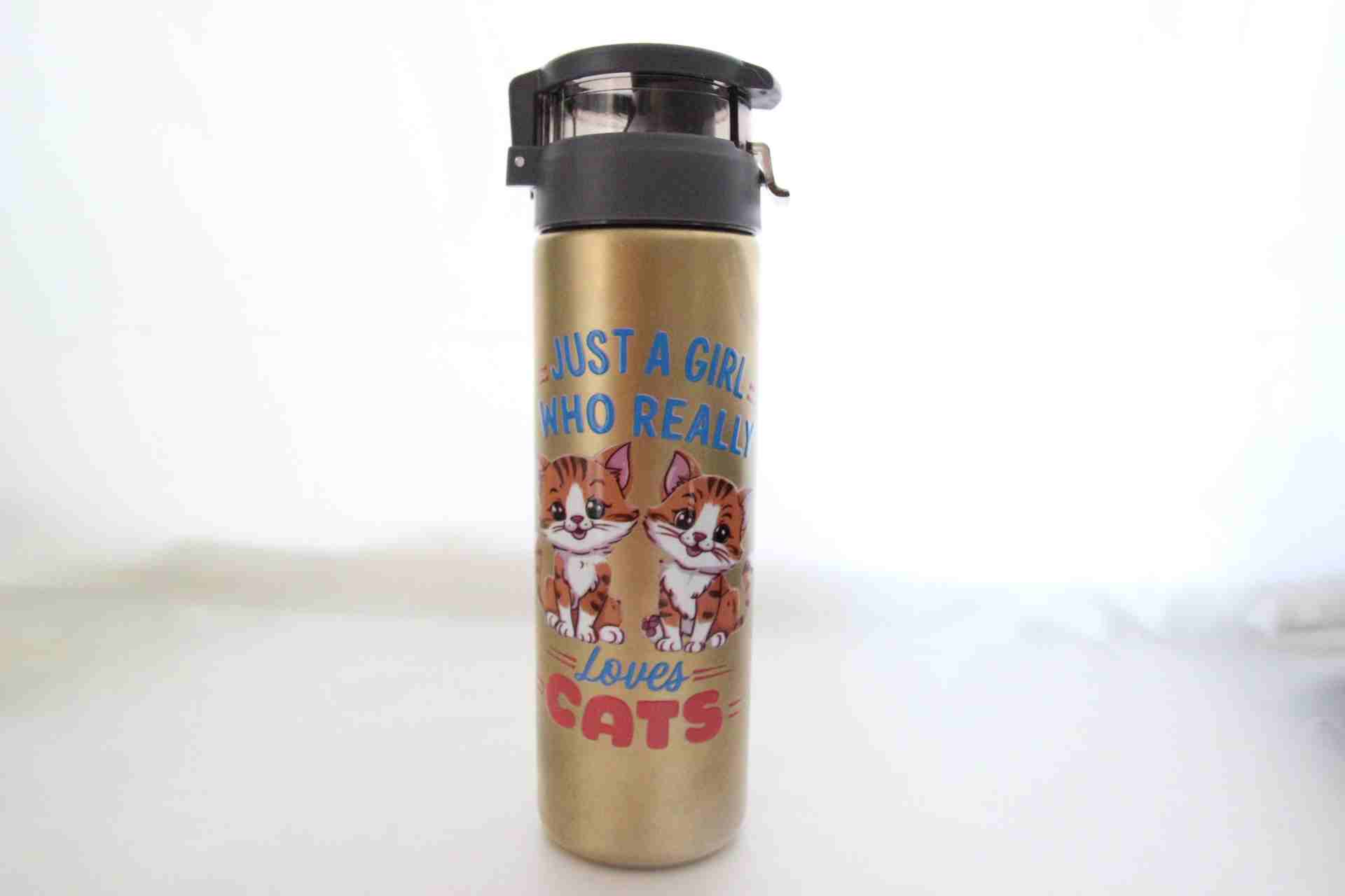 Home Sevimli Kediler Termos Ve Kırmızı Defter Hediye Kutusu