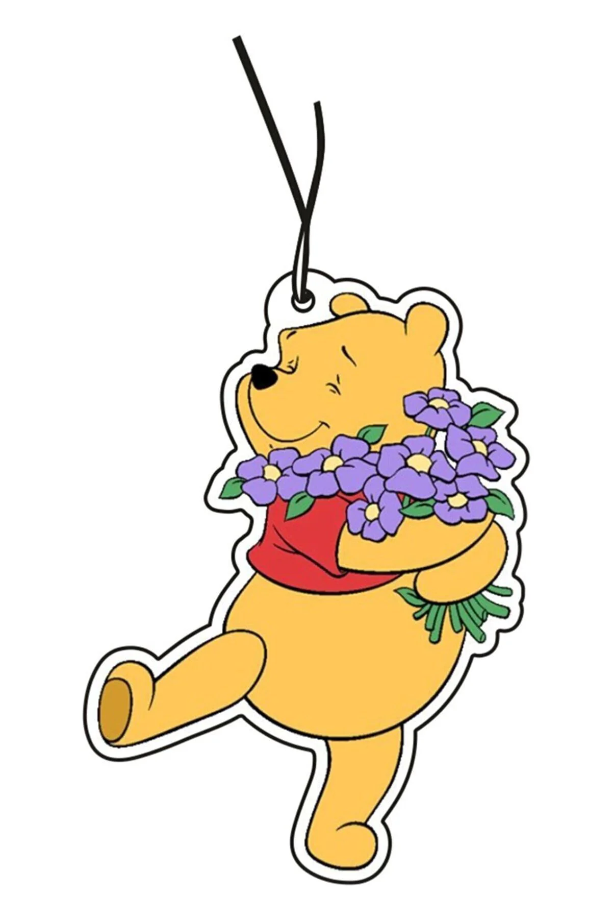 Sevimli Winnie De Pooh Tasarımlı Dekoratif Oto Kokusu