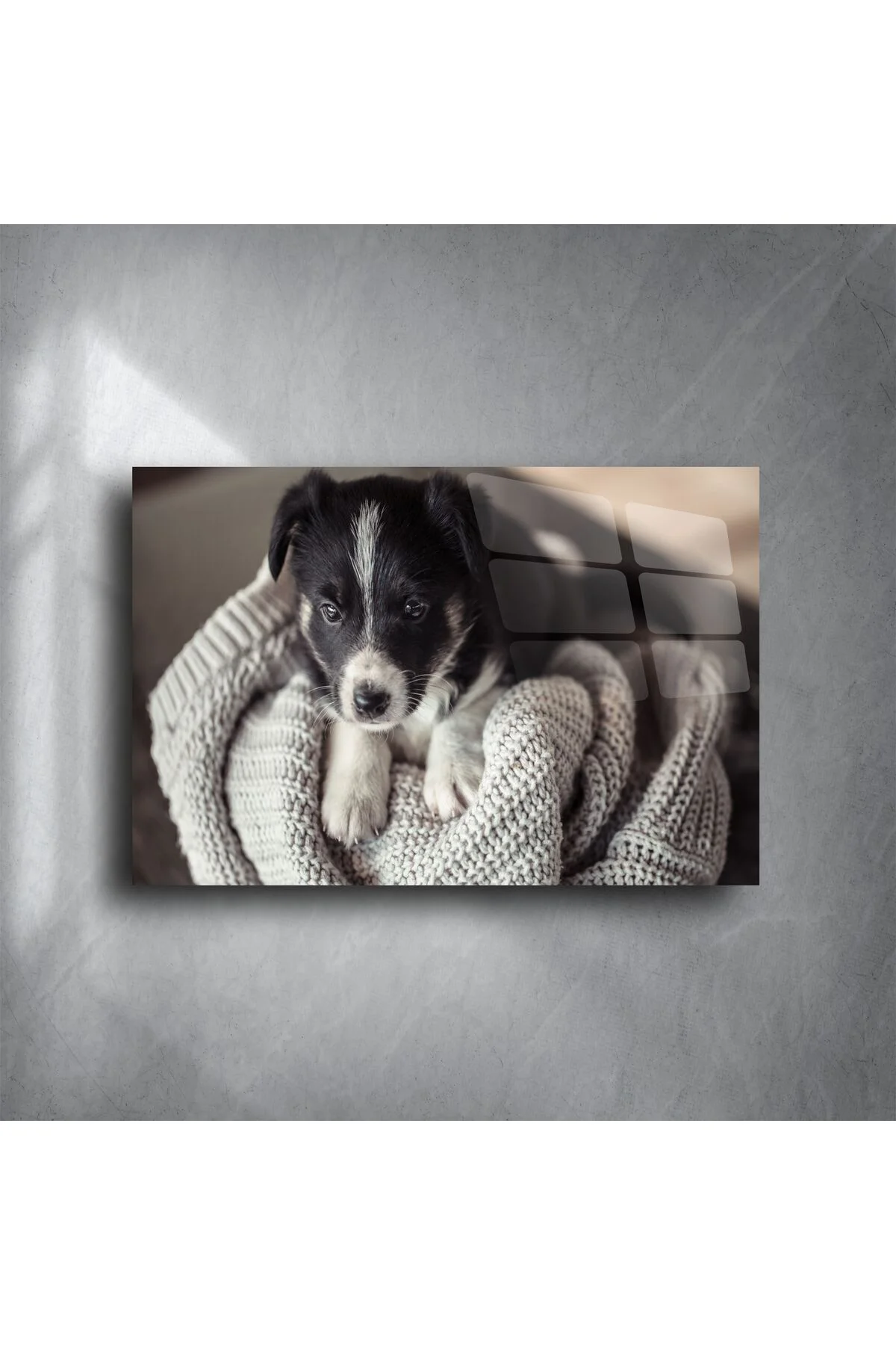 Sevimli Yavru Köpek Cam Üstü Duvar Tablosu Sevimli Yavru Köpek Cam Üstü Duvar Tablosu Fiyatı, Yorumları ve Özellikleri