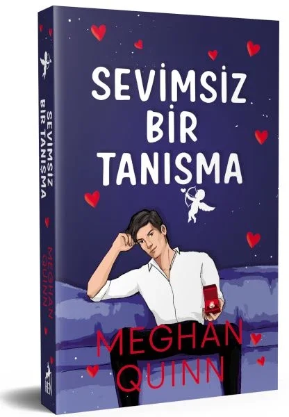 Sevimsiz Bir Tanışma Fiyatı, Yorumları ve Özellikleri