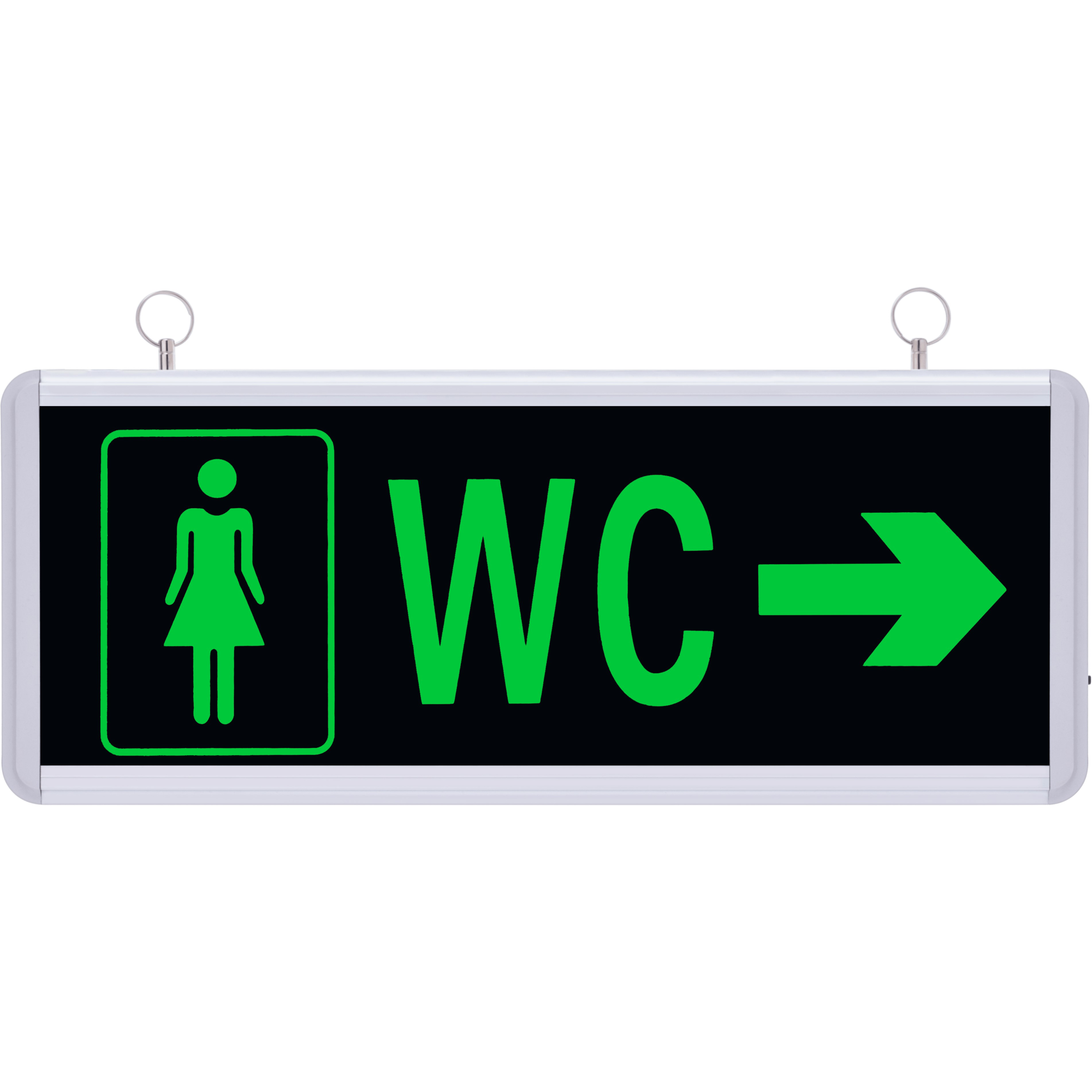 SG011 Çift Yönlü Acil Yönlendirme Armatürü TdrTR