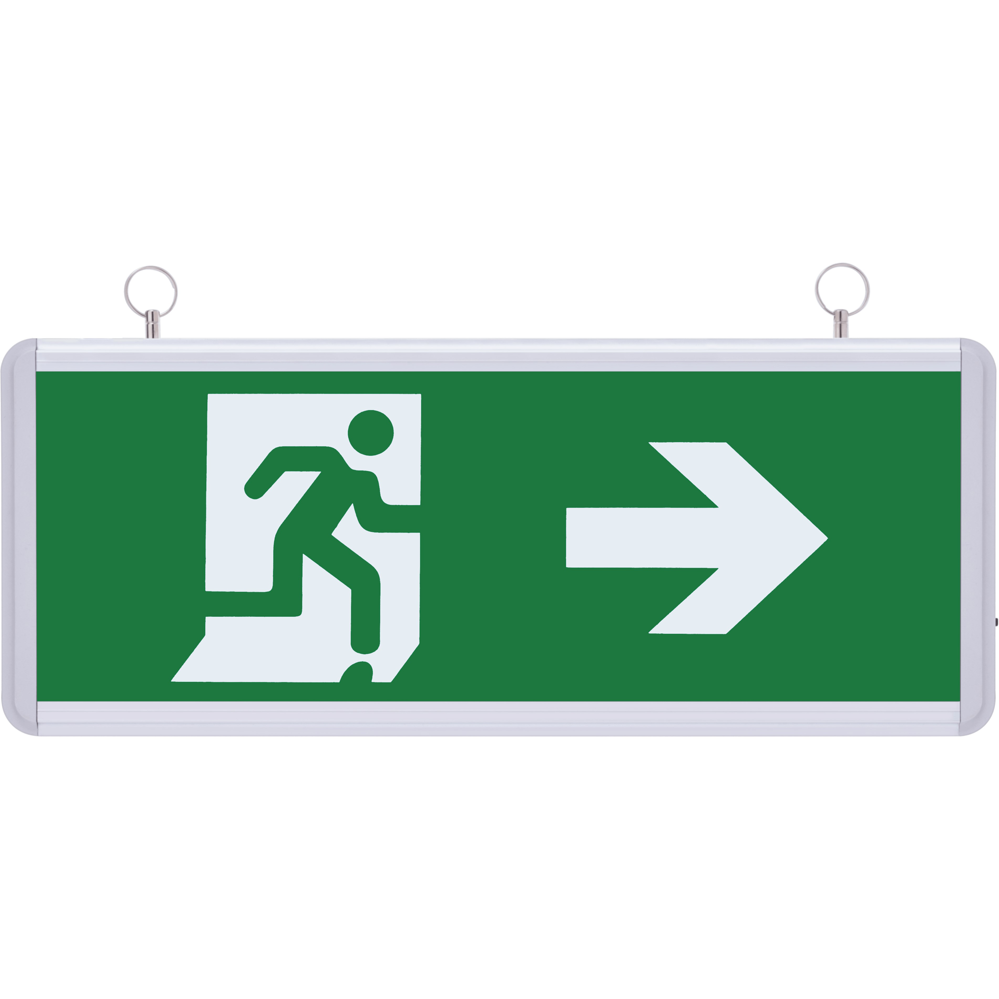 SG013 Çift Yönlü Acil Yönlendirme Armatürü TdrTR