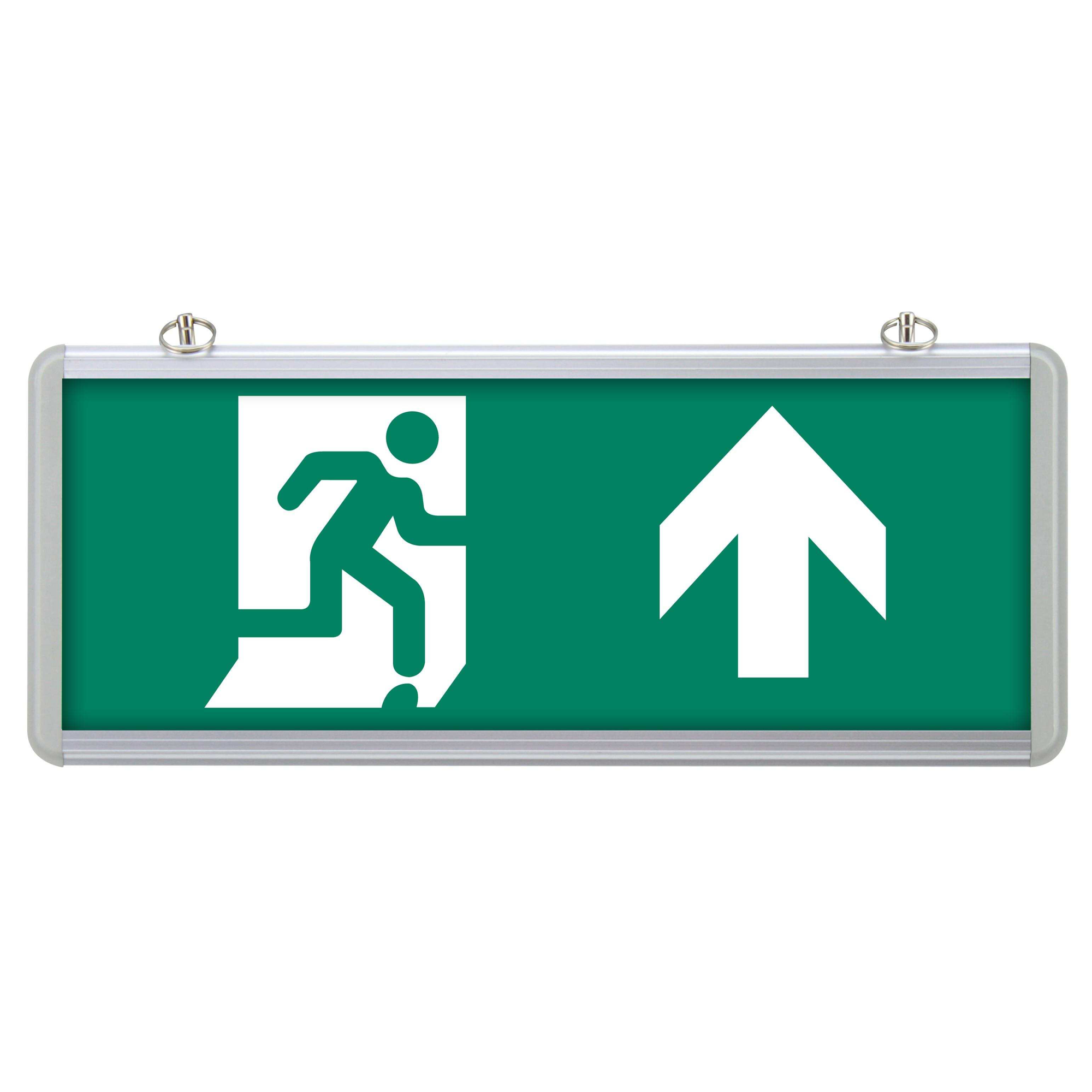 SG015 Çift Yönlü Acil Yönlendirme Armatürü TdrTR