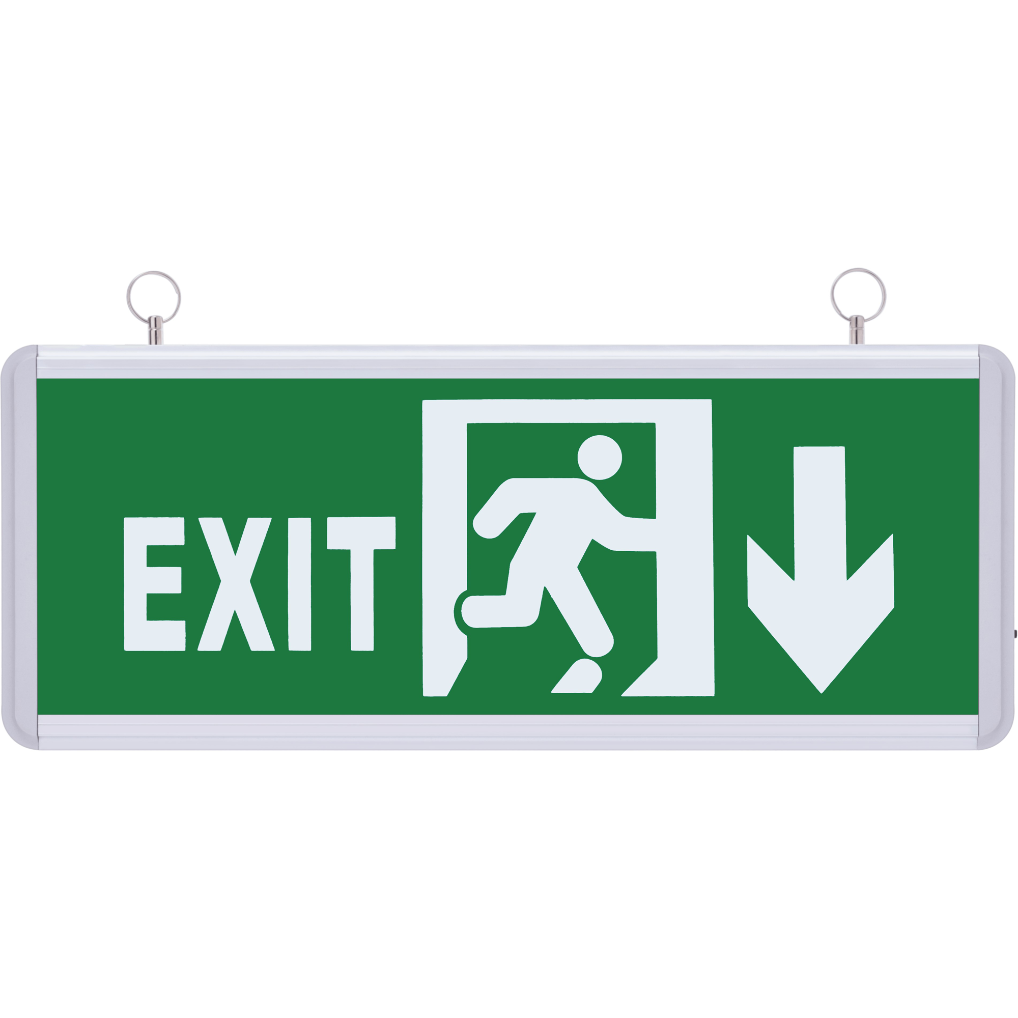 SG027 Çift Yönlü Acil Yönlendirme Armatürü TdrTR