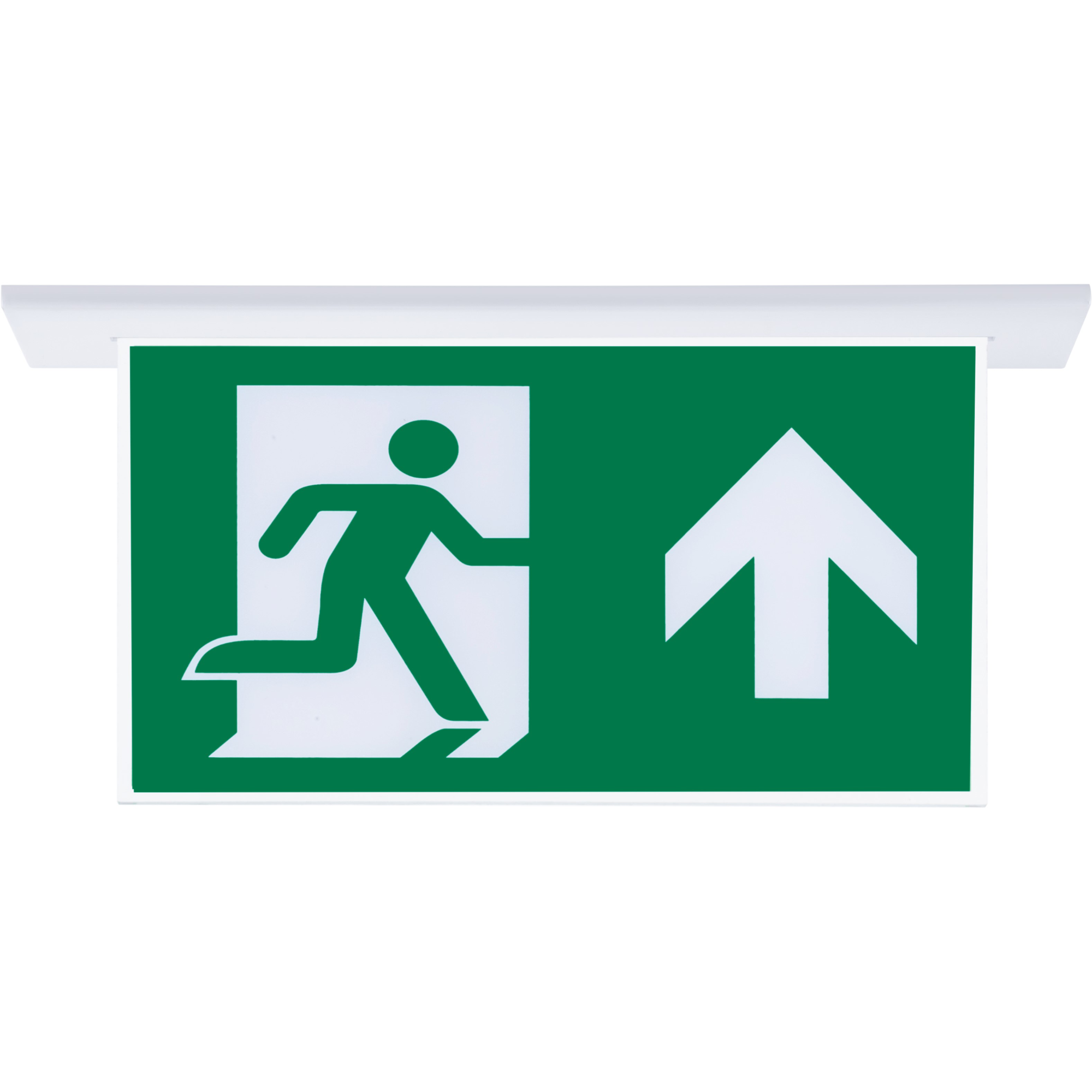 SG053-SA Çift Yönlü Acil Yönlendirme Armatürü (Sıvaaltı Aparatlı)