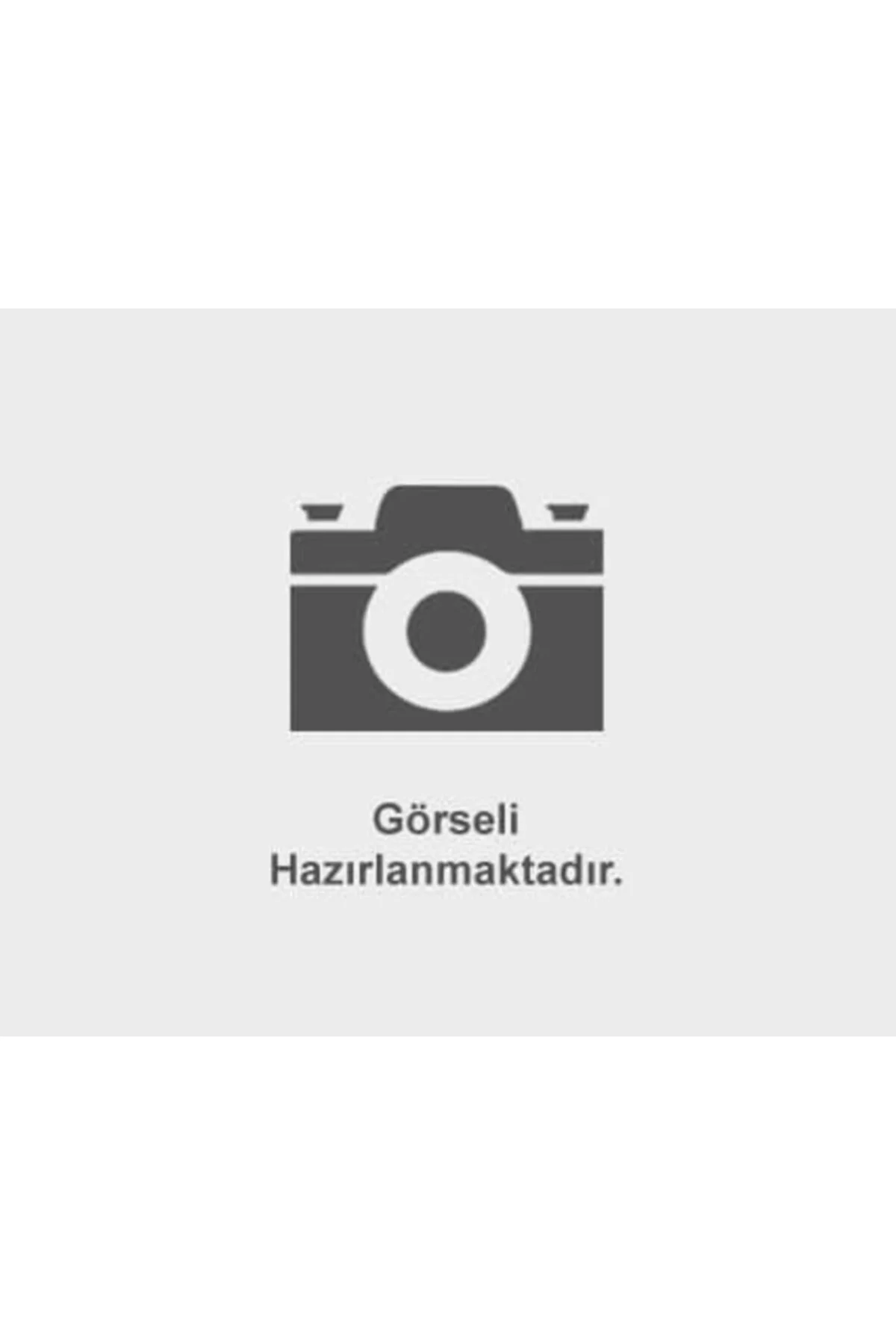 Sh1372 28113-4f000 Hava Fıltresı H100 Kamyonet 2004>
