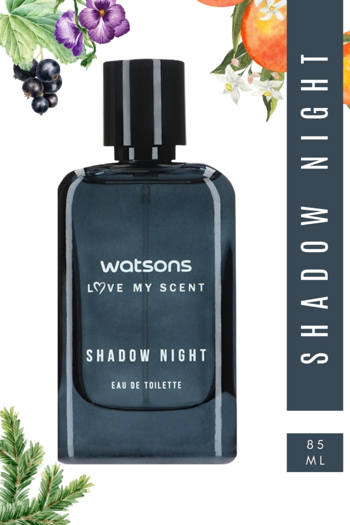 Shadow Night Erkek Parfüm Edp 100 ml