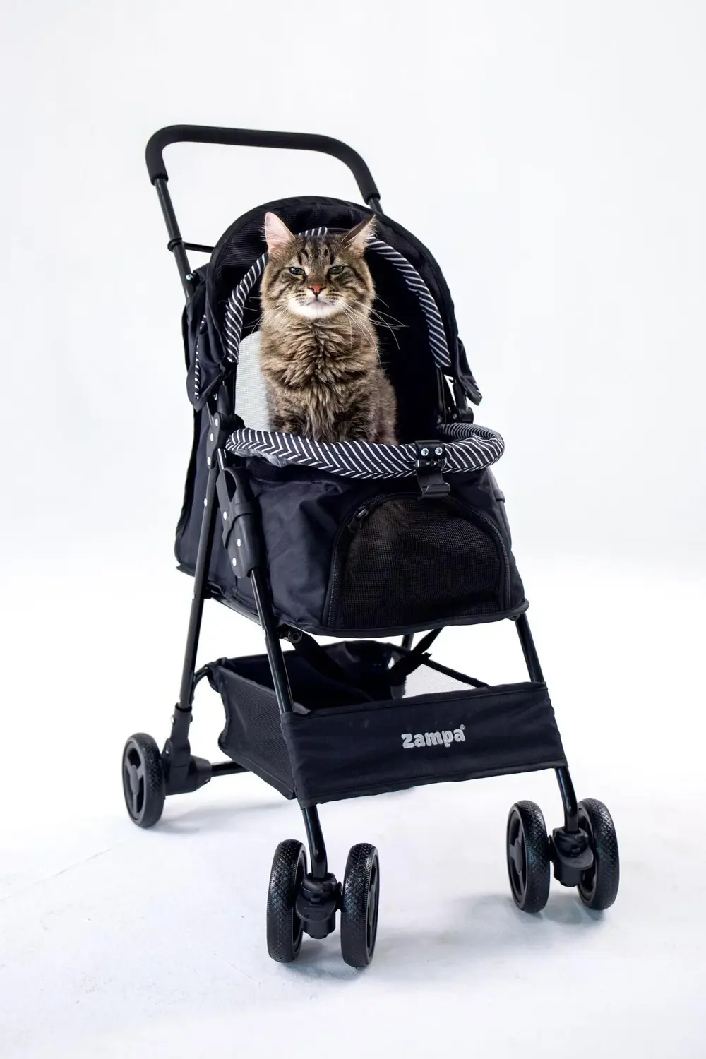 Showtime Siyah Kedi-Köpek Arabası (SP02XKB)